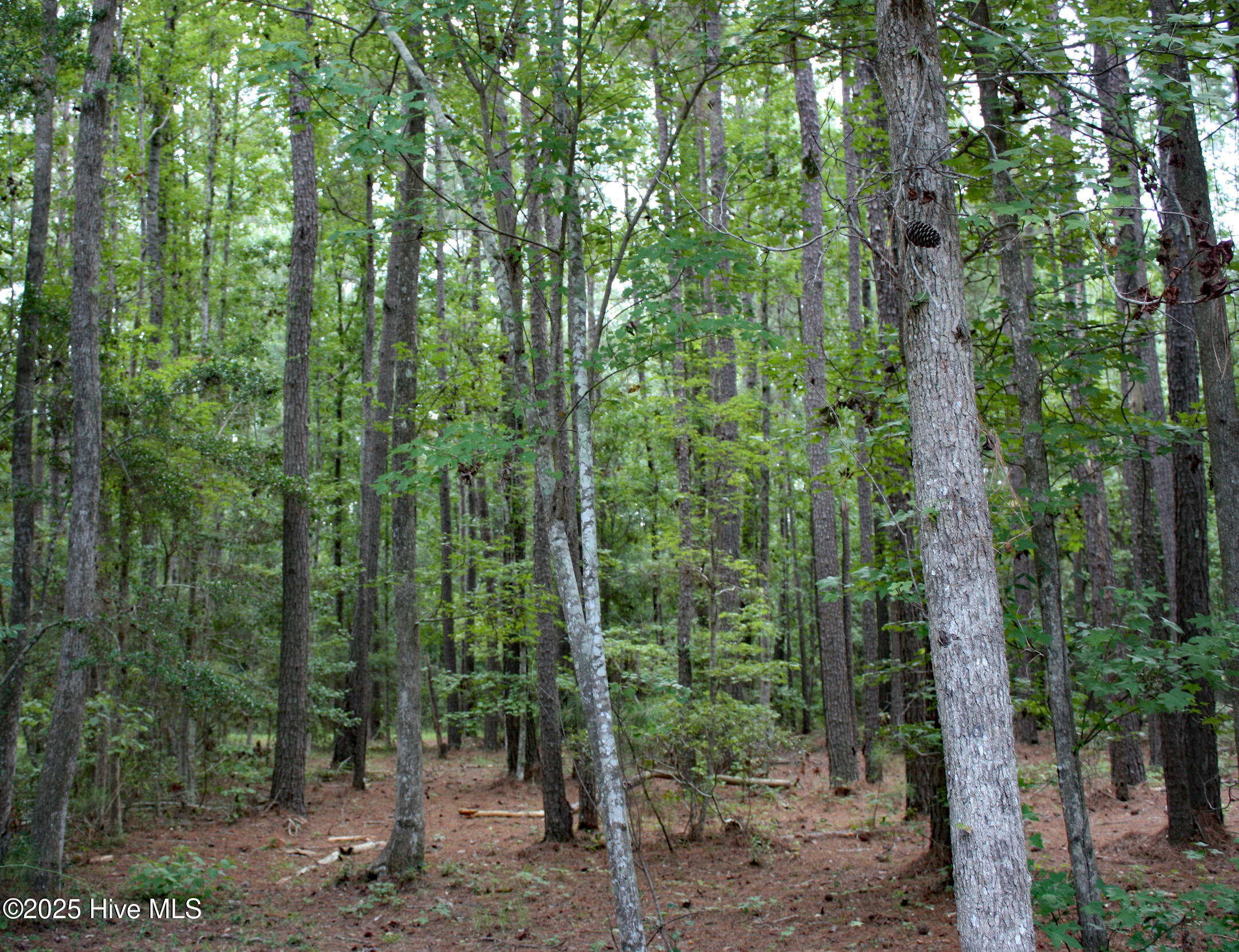 6781 Hanbury Place Property Photo 3