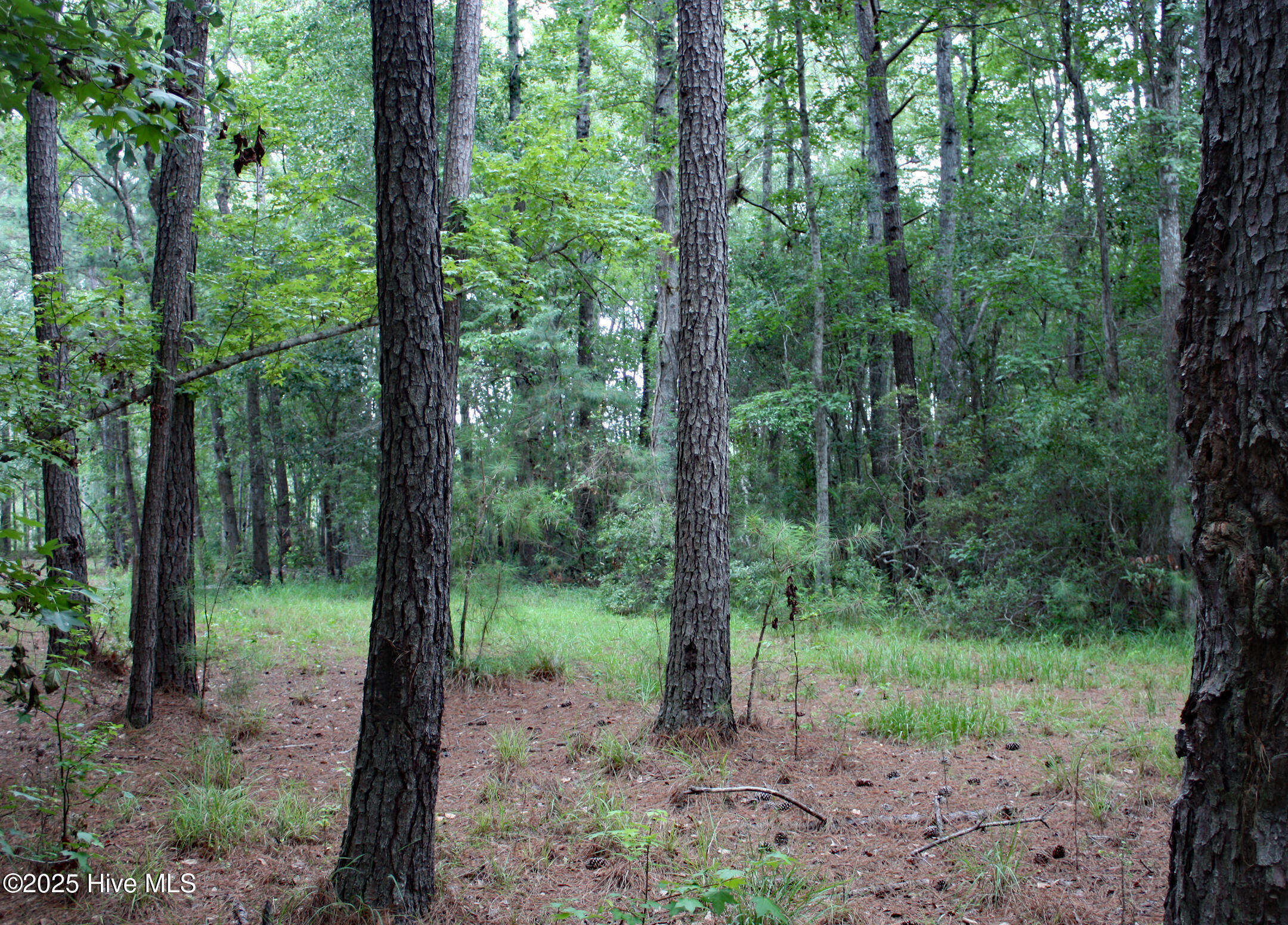 6781 Hanbury Place Property Photo 4