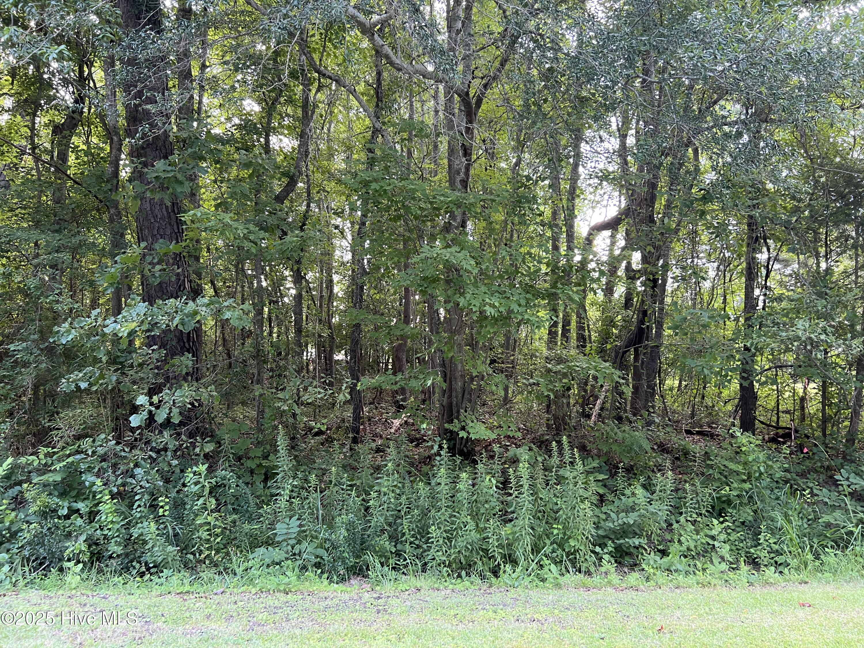 104 Colony Drive Property Photo 1