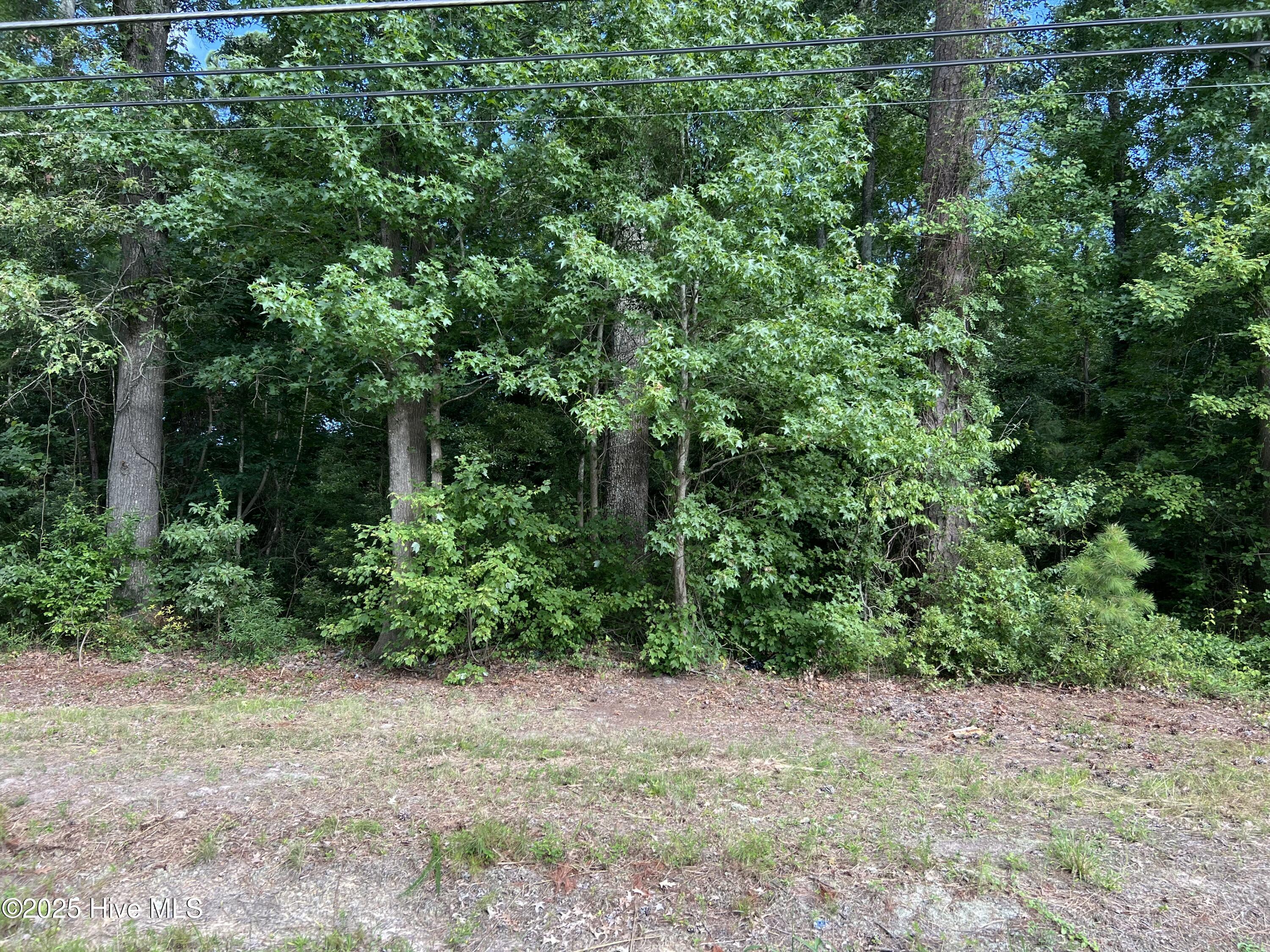 115 Colony Drive Property Photo 1