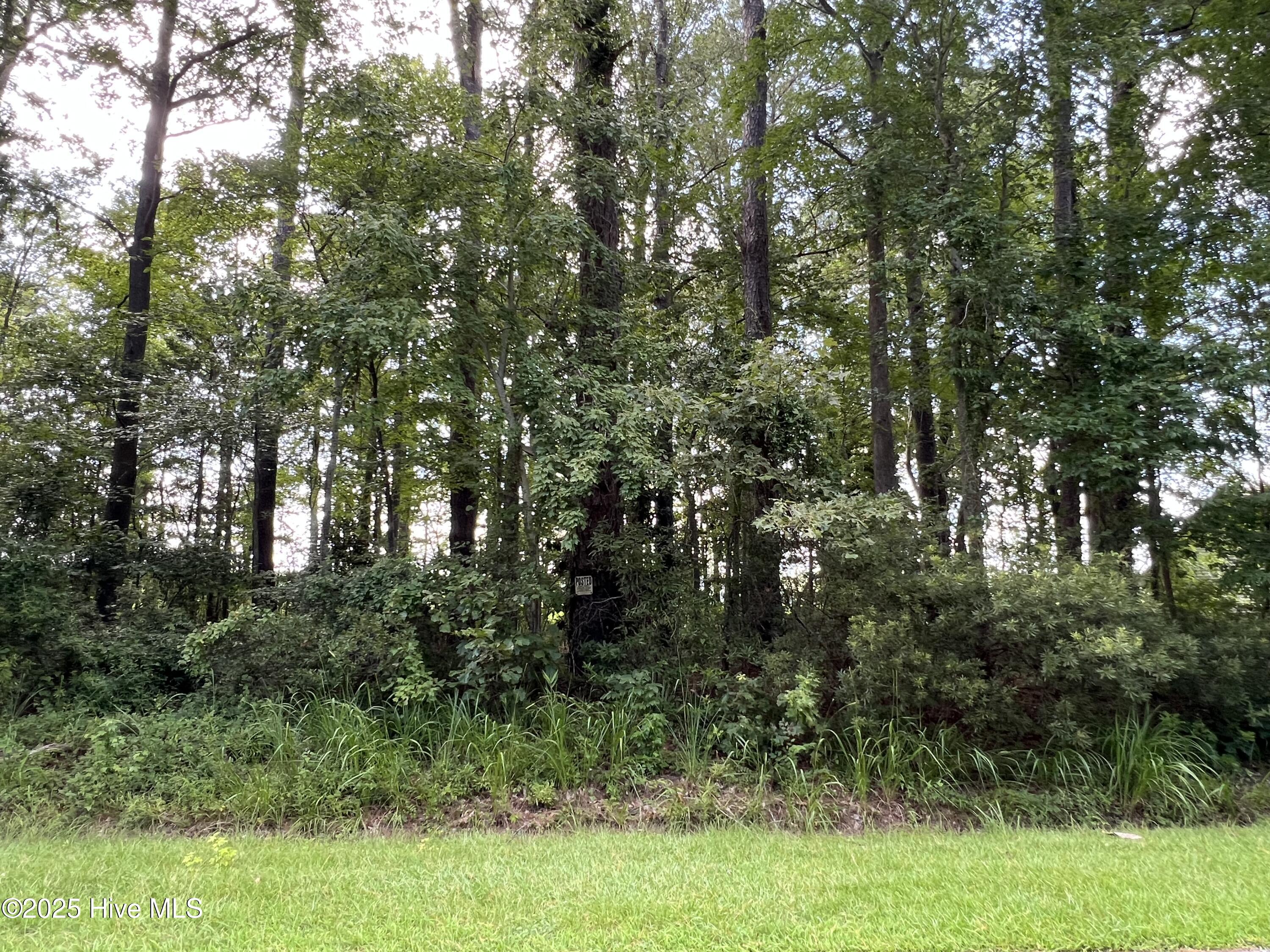 124 Colony Drive Property Photo 1