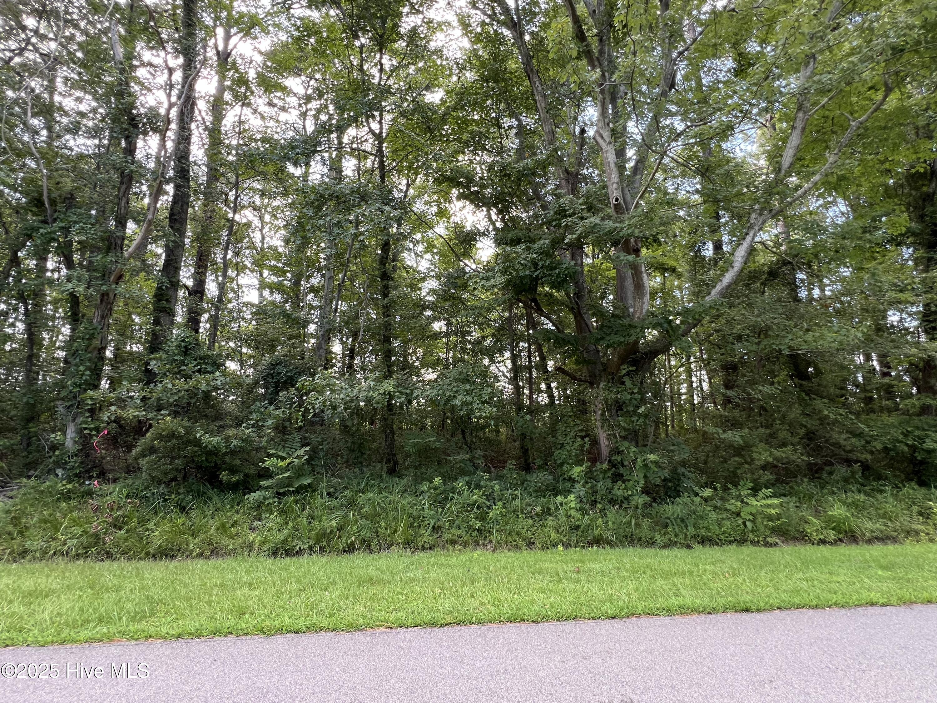 126 Colony Drive Property Photo 1