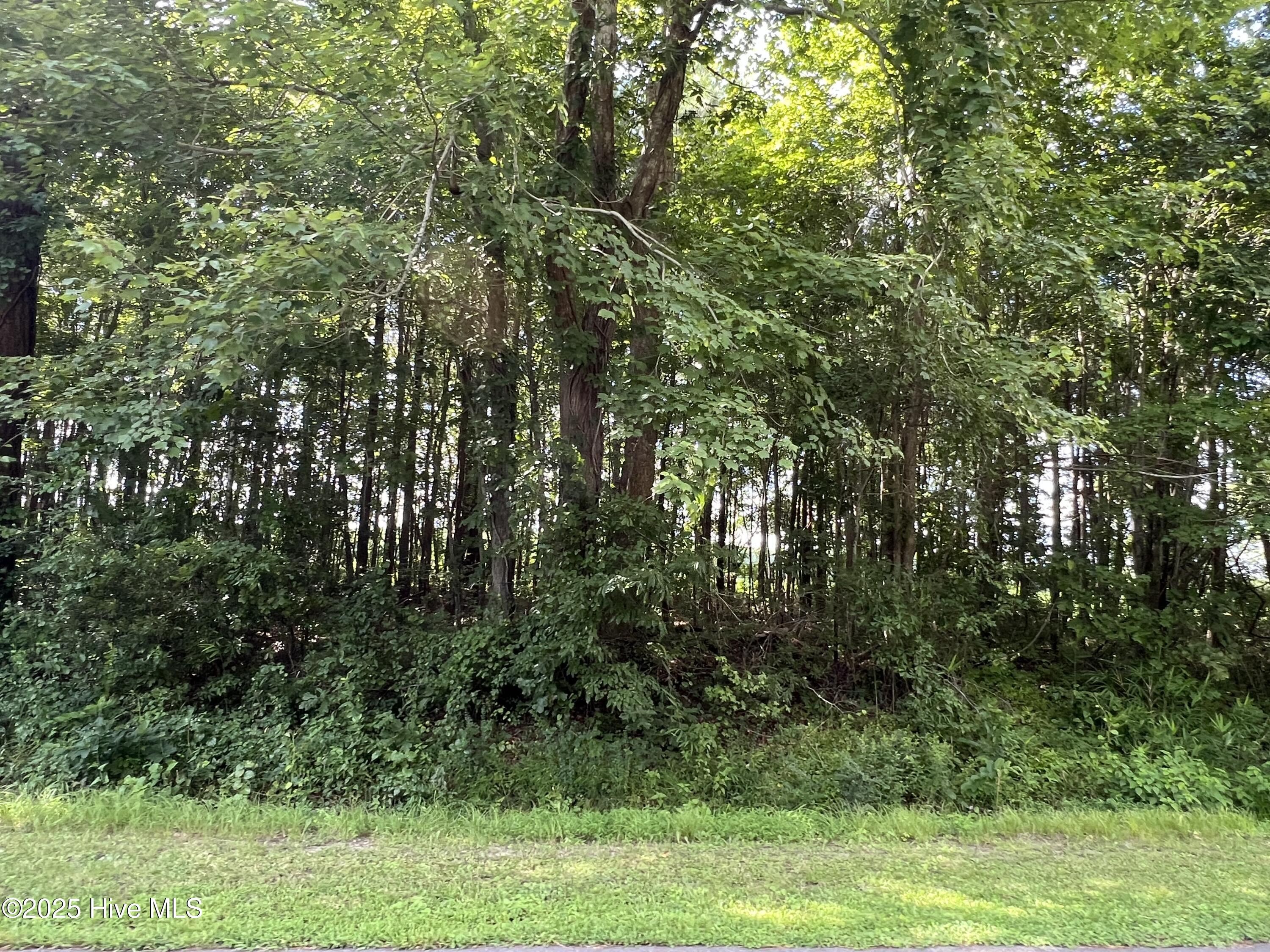 202 Colony Drive Property Photo 1