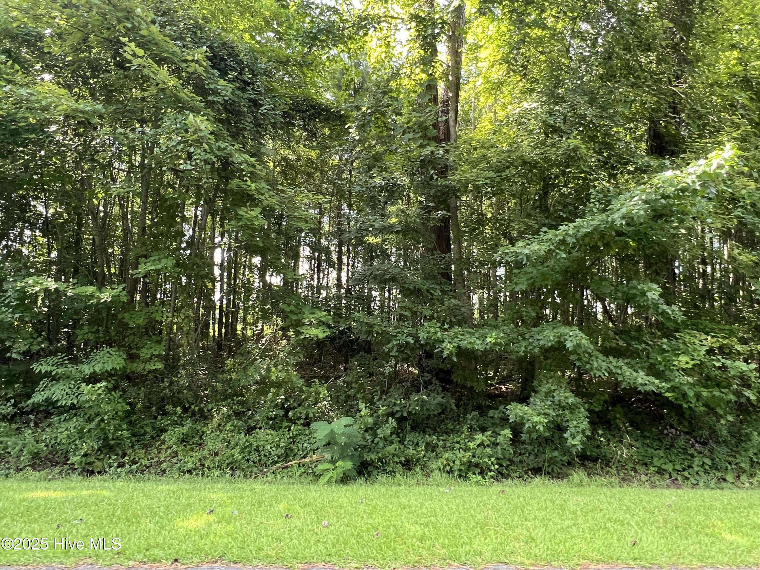 204 Colony Drive Property Photo 1