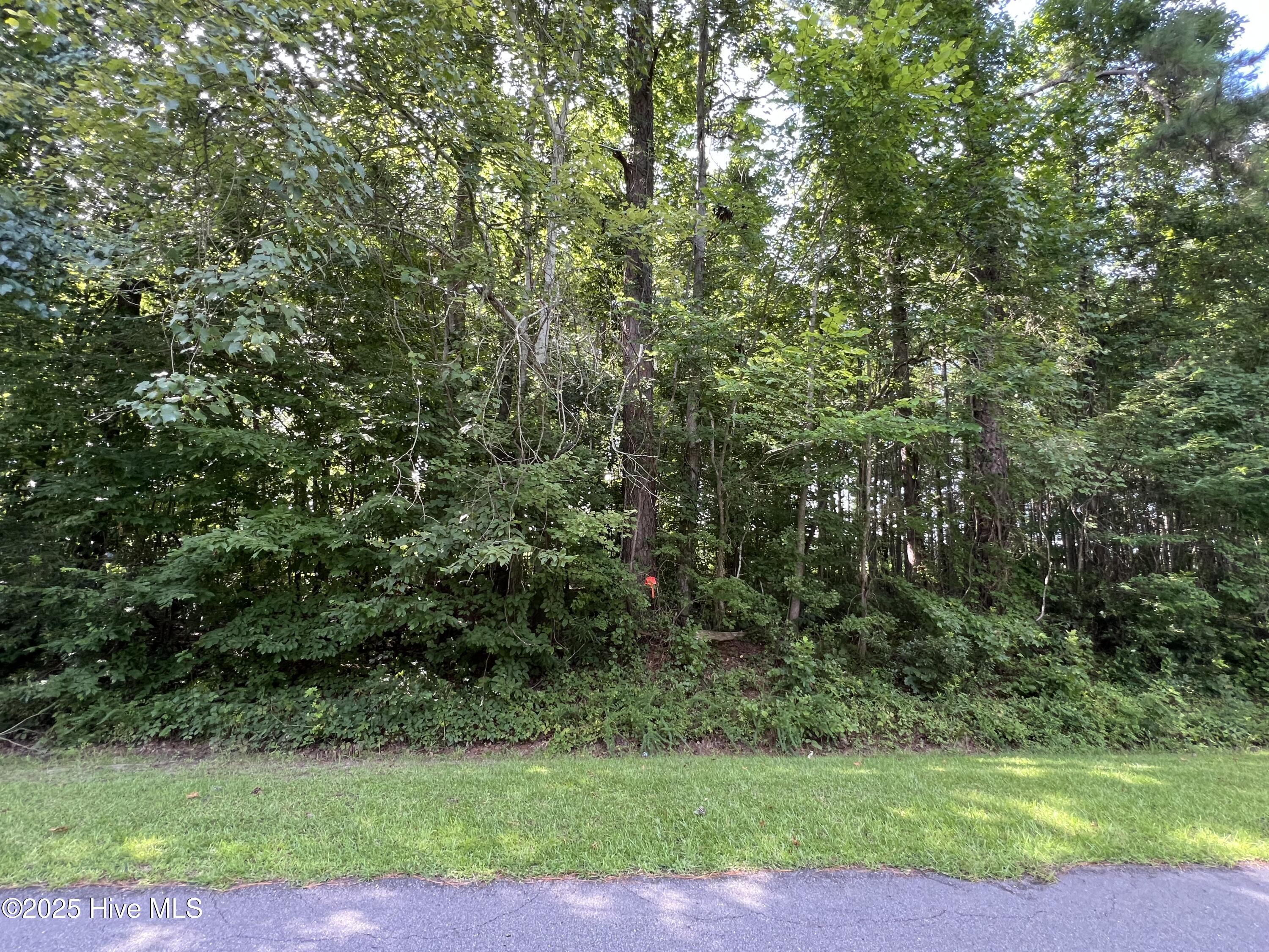 206 Colony Drive Property Photo 1