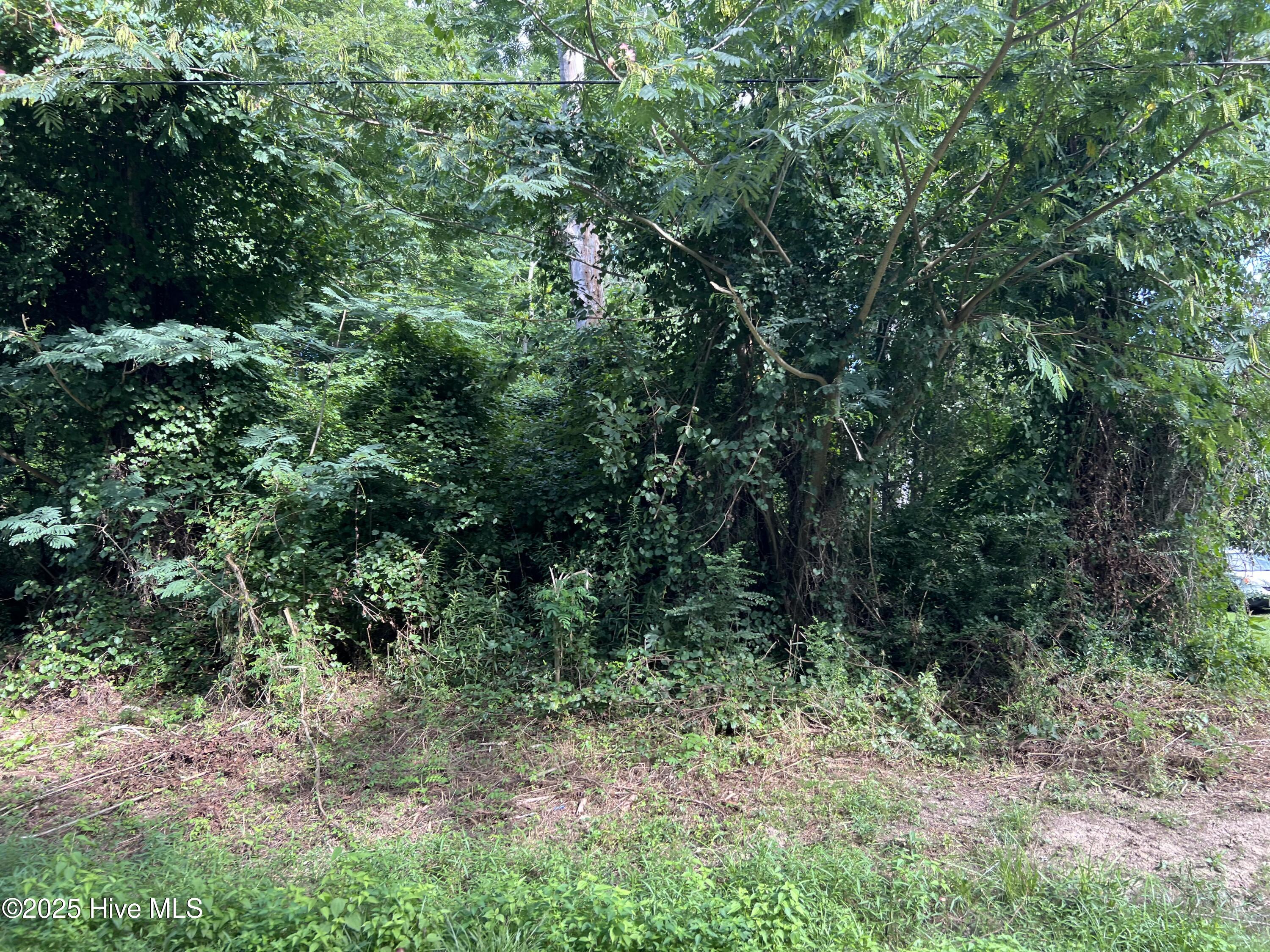 213 Colony Drive Property Photo 1