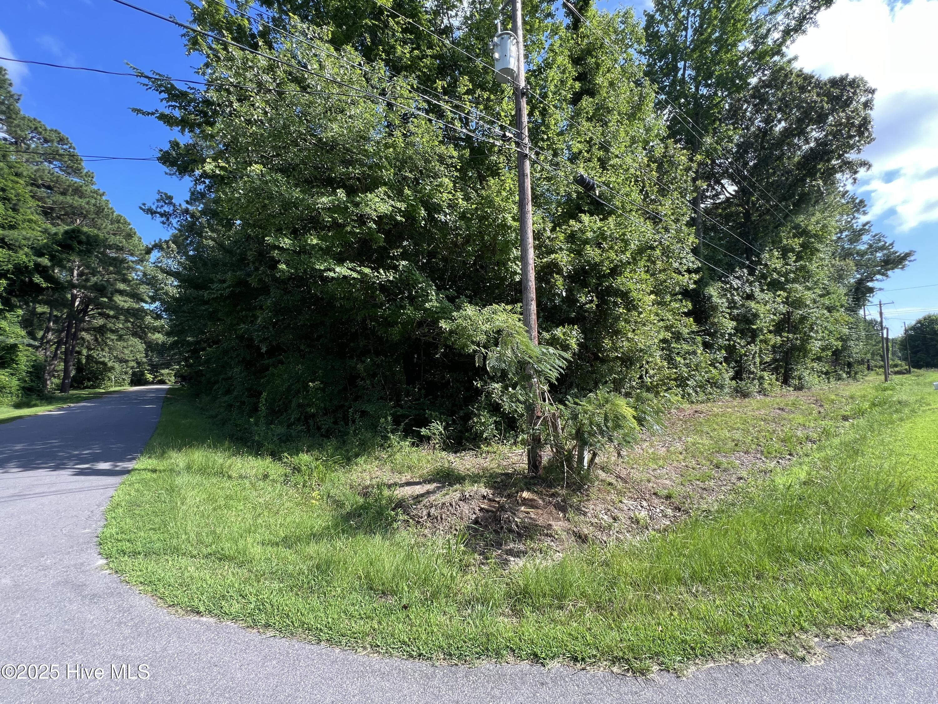 301 Colony Drive Property Photo 1
