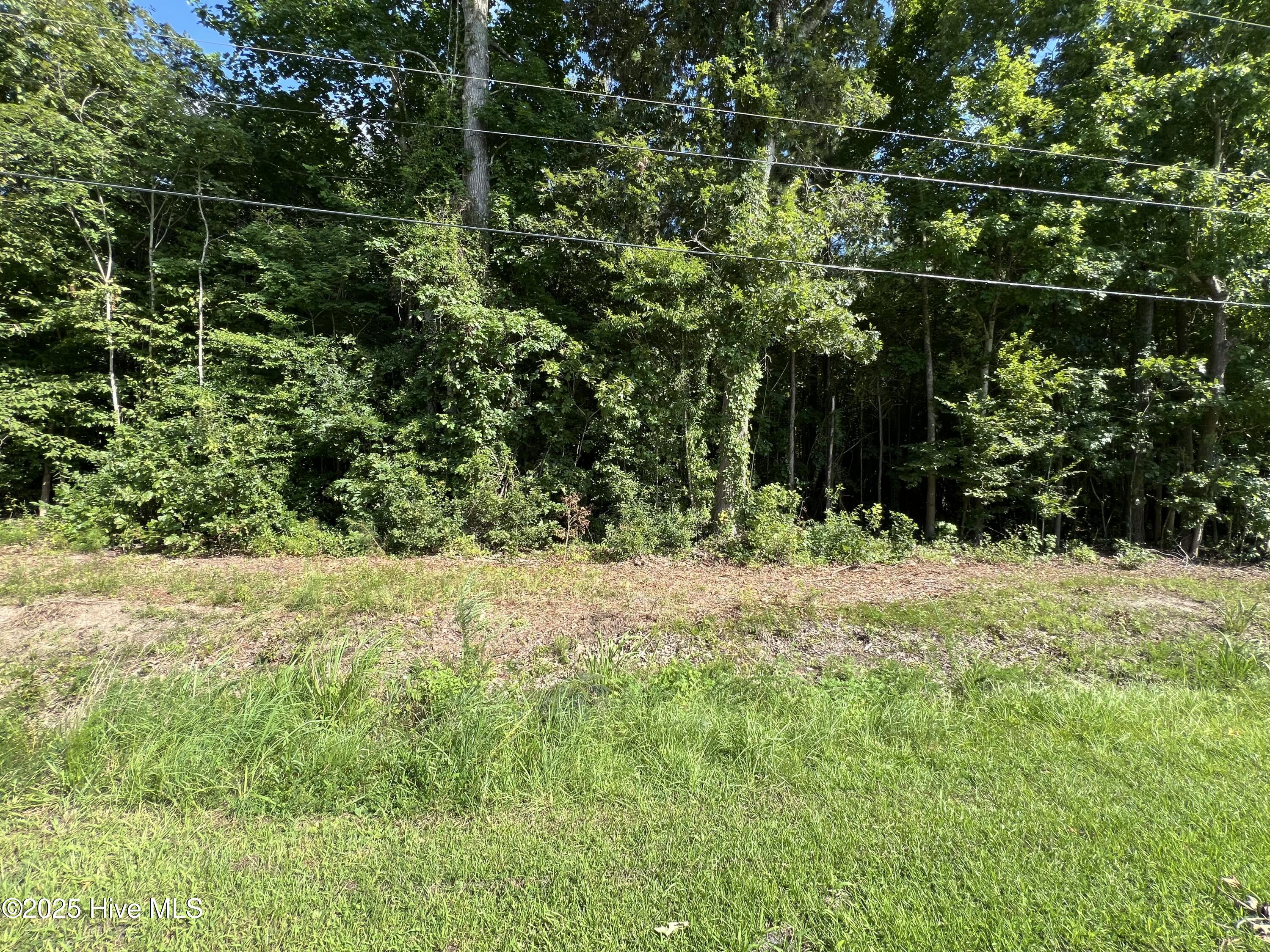 303 Colony Drive Property Photo 1