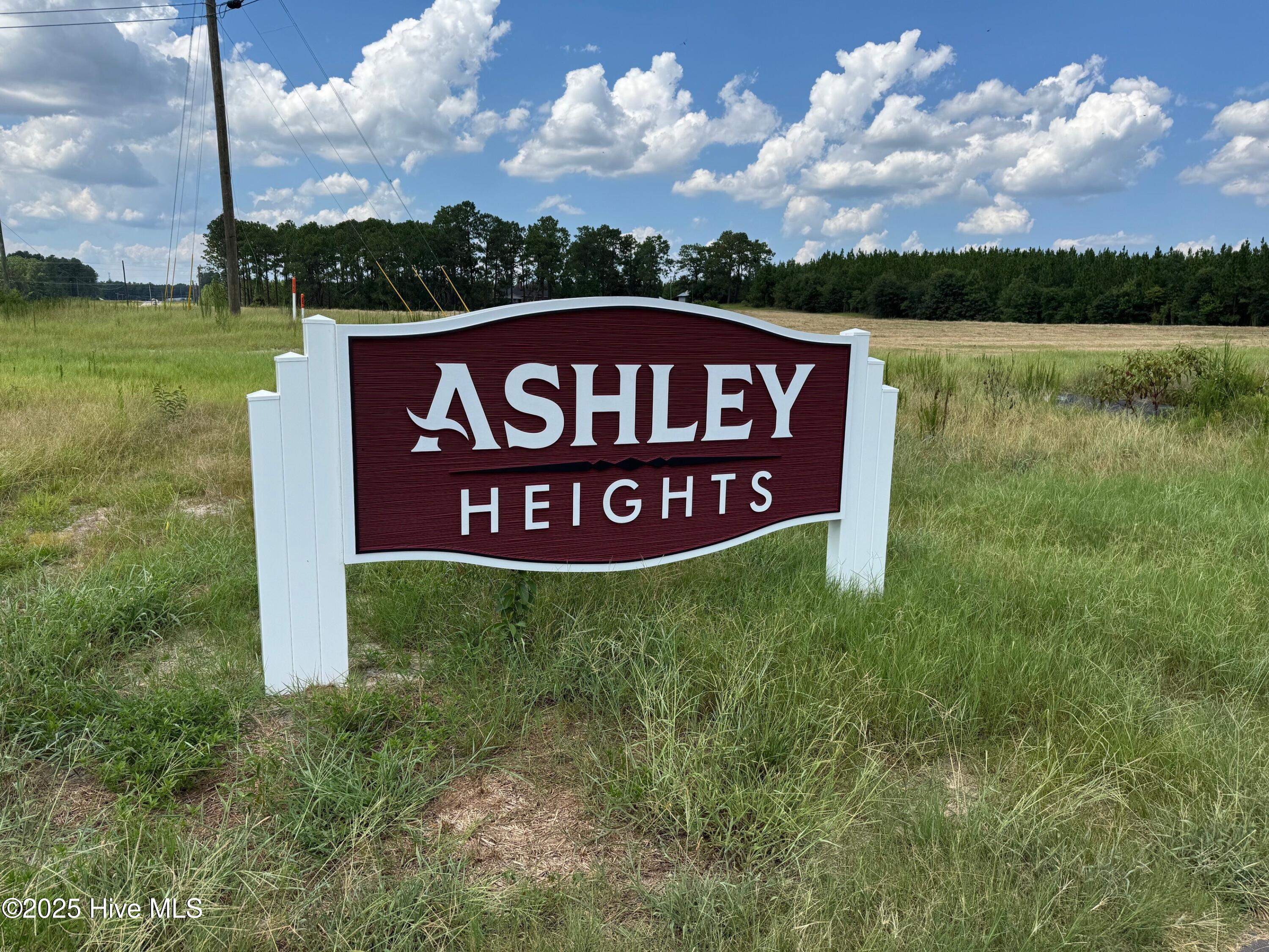 277 Ashley Heights Drive Property Photo 33