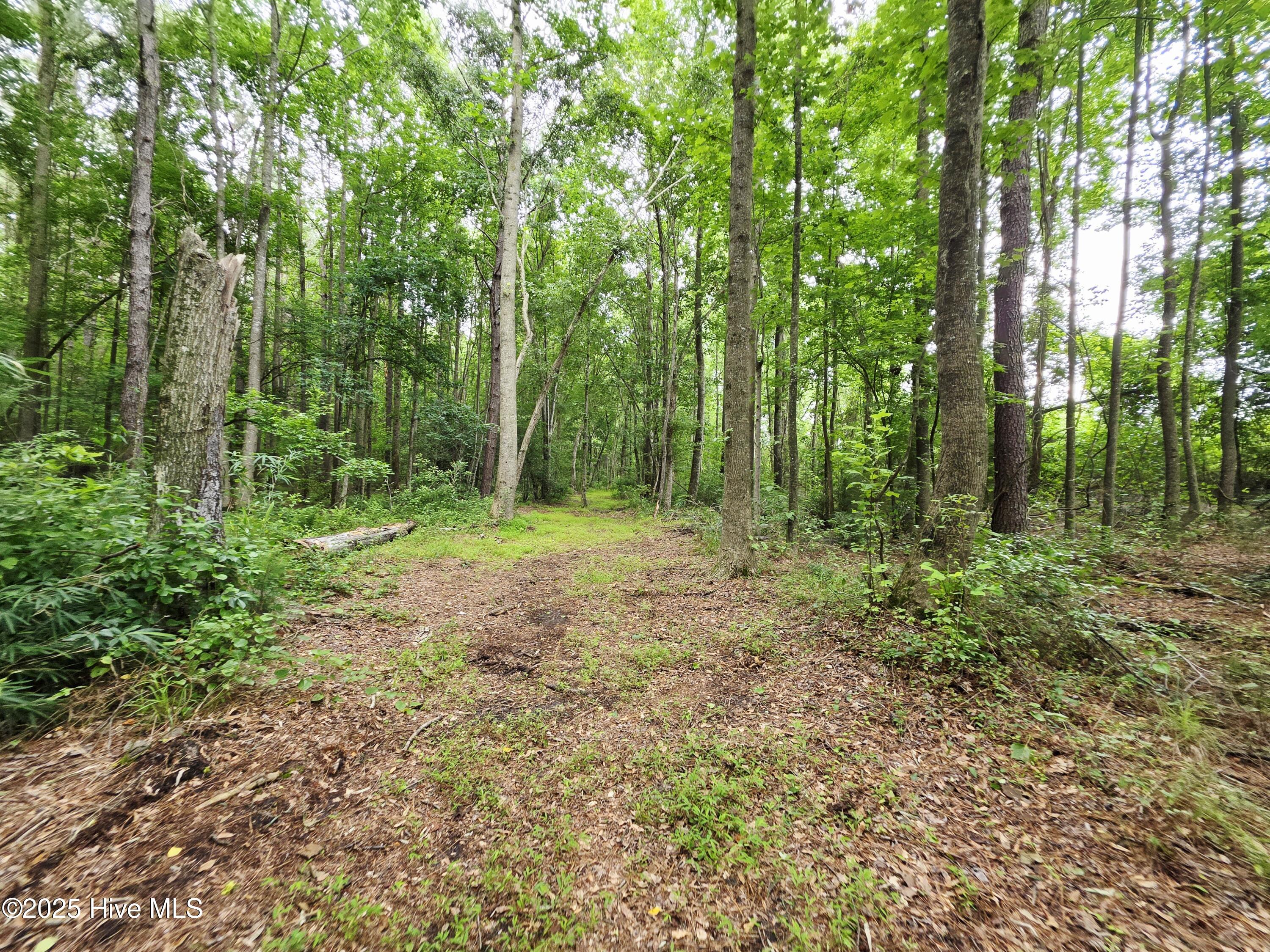 B Shady Creek Road Property Photo 18