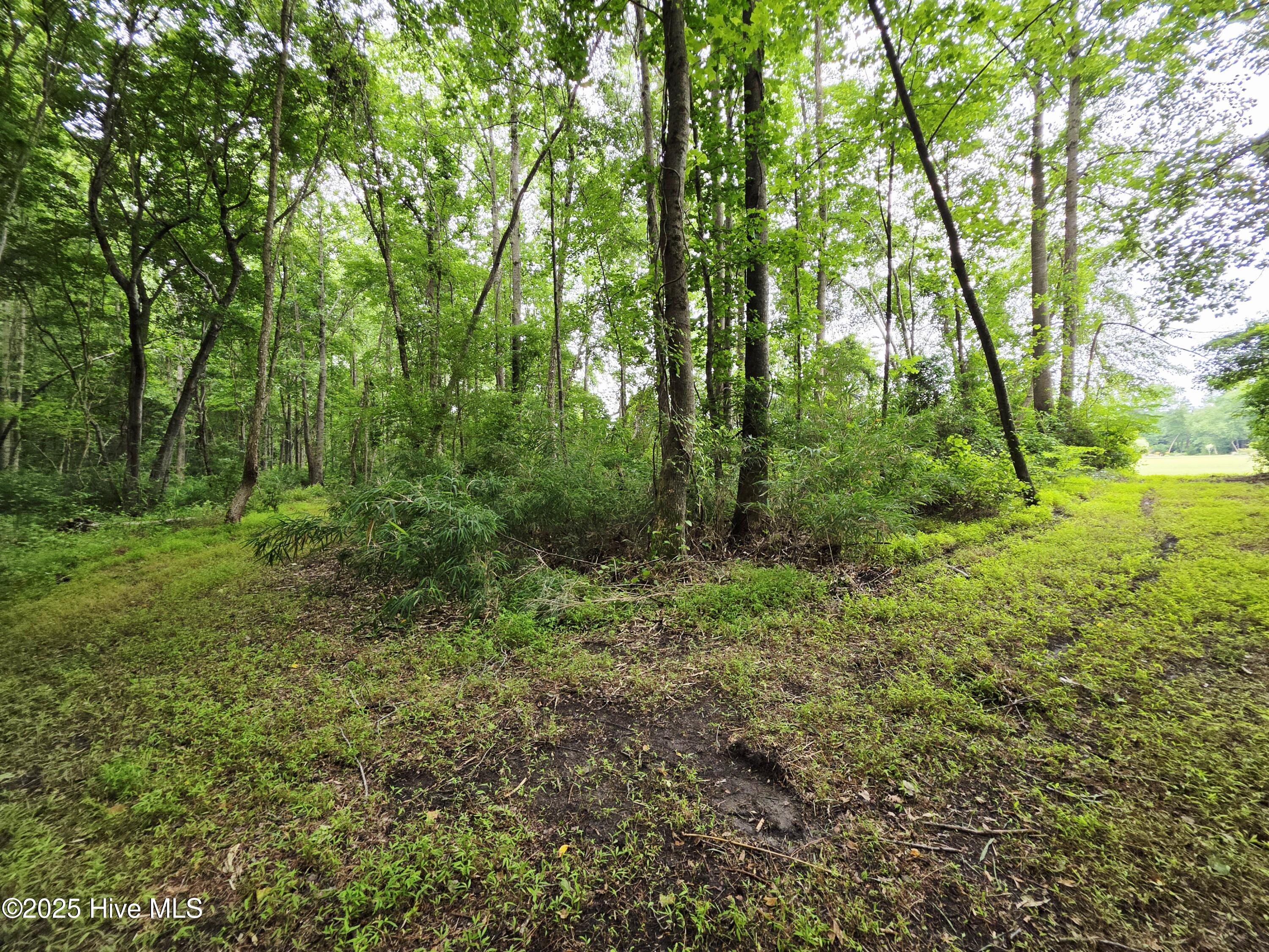 B Shady Creek Road Property Photo 19