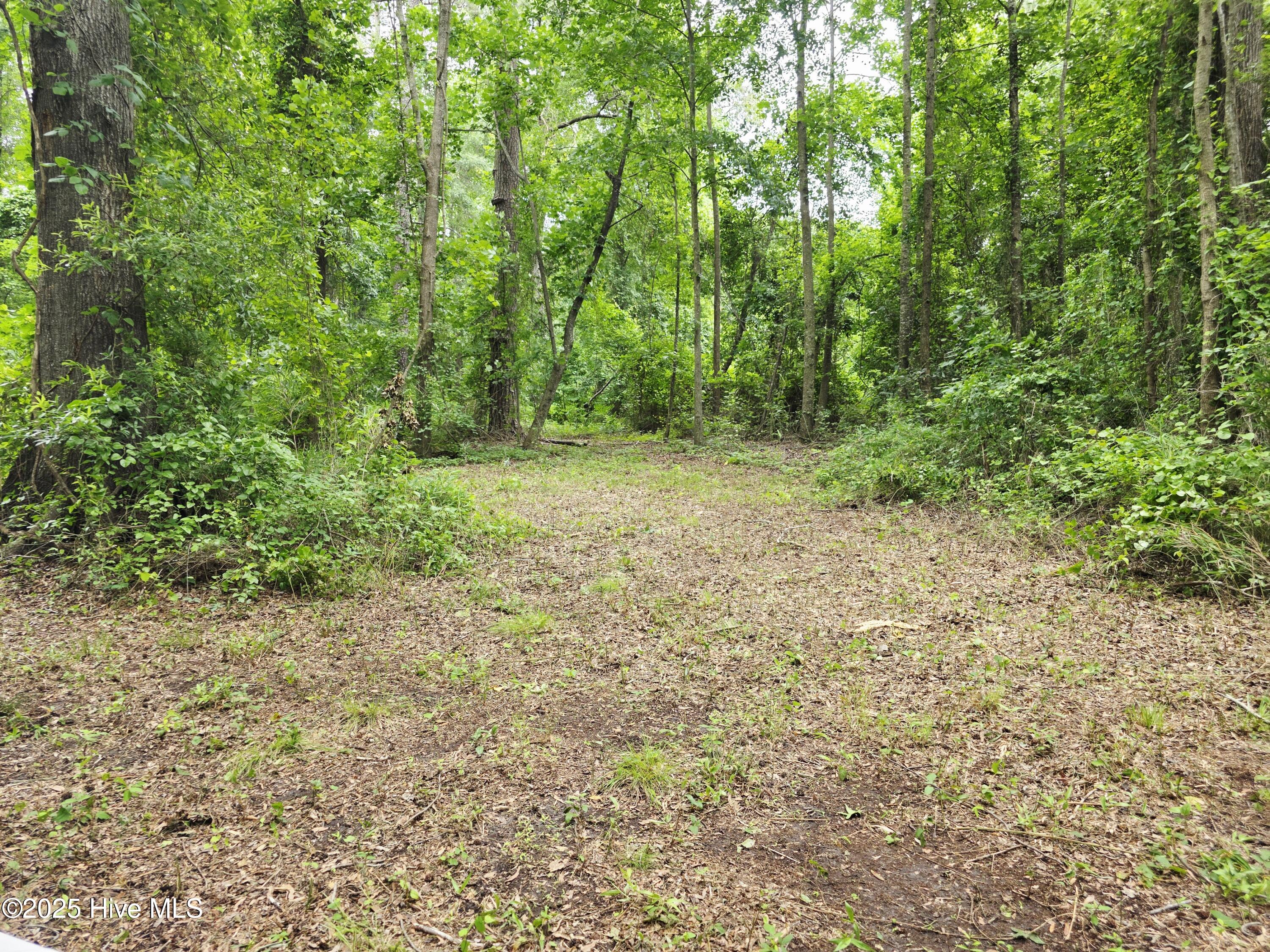 B Shady Creek Road Property Photo 23