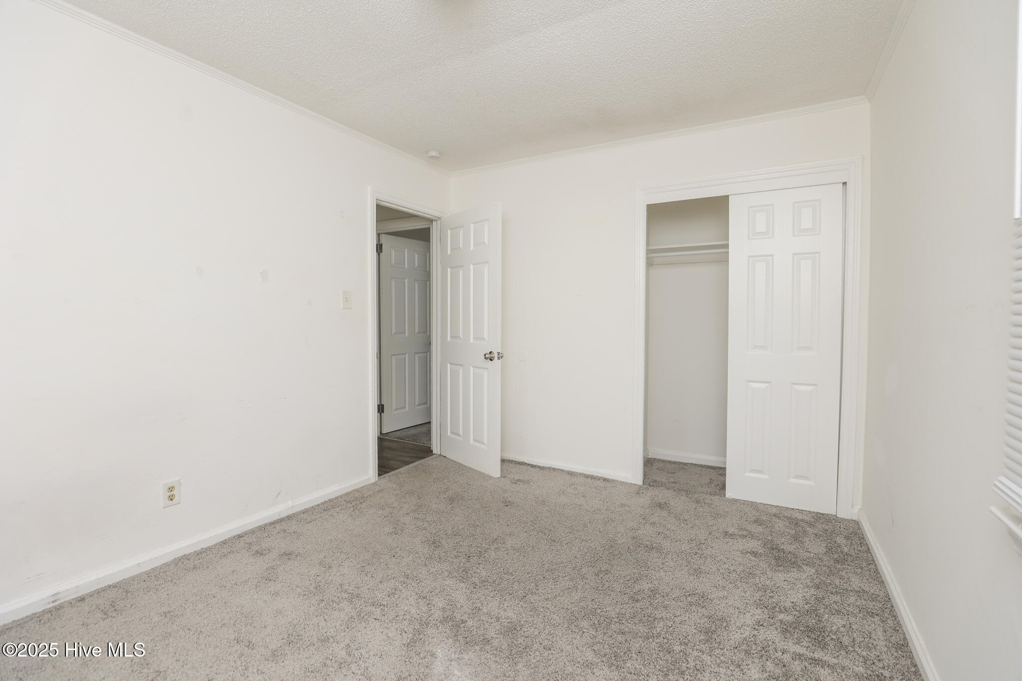 309-311 Starling Street Property Photo 7