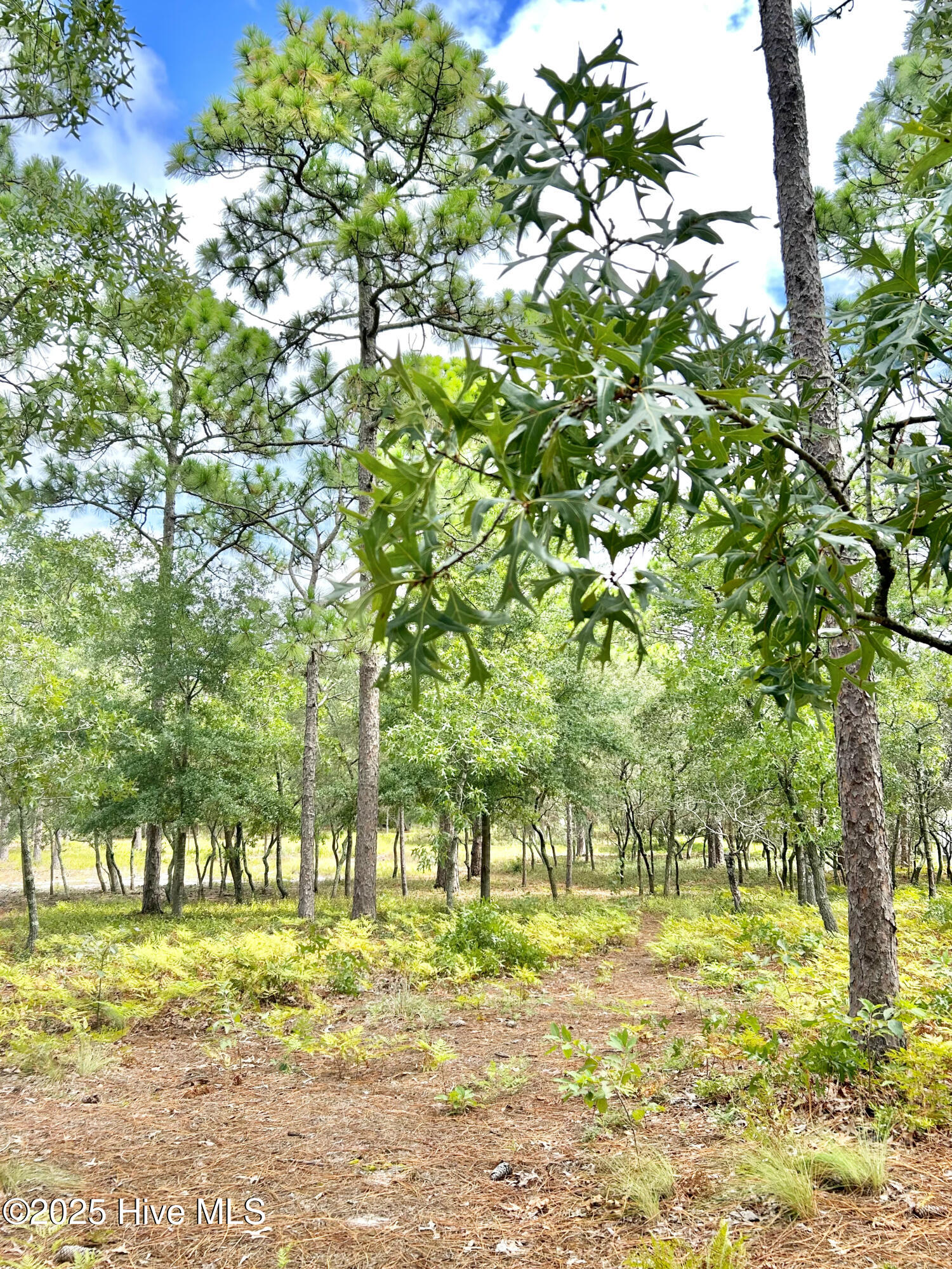 4004 Winds Ridge Drive Property Photo 33