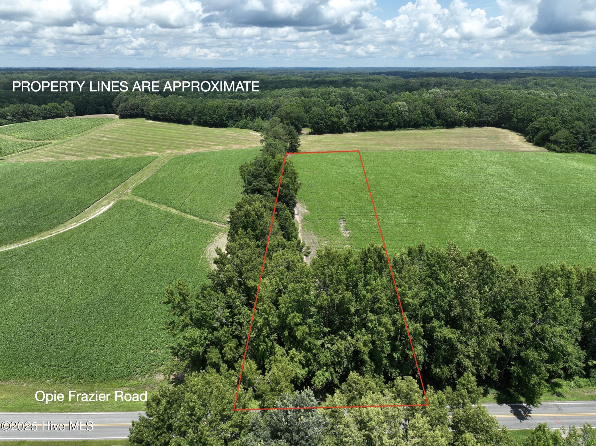 123 Opie Frazier Road Property Photo 2