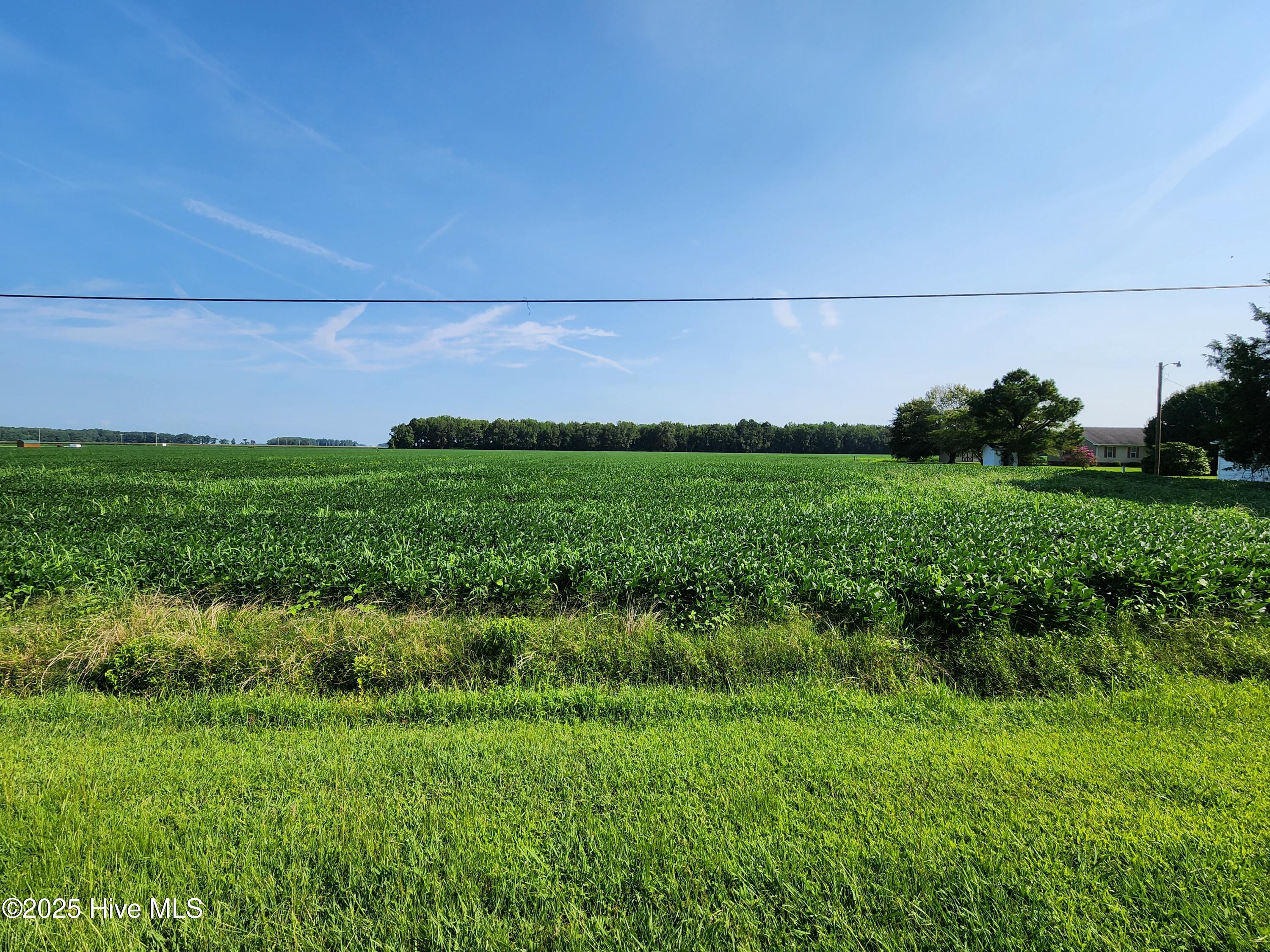184 Herman Arnold Road Property Photo 1