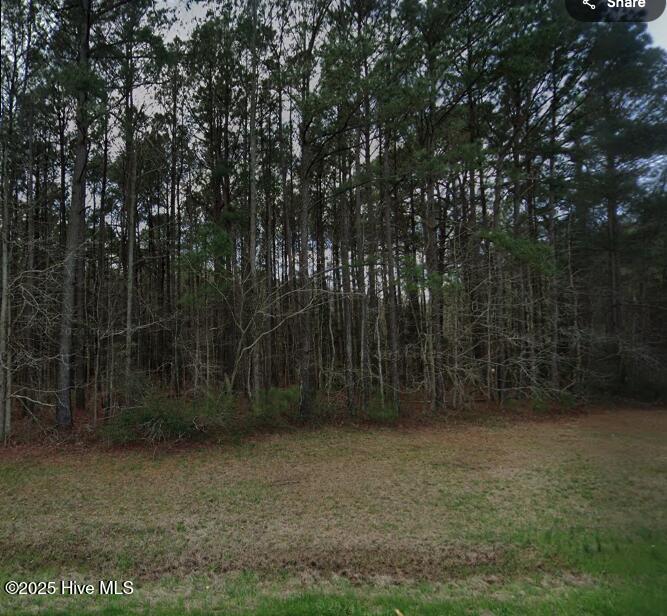 0 Gum Swamp Rd Road Property Photo 1