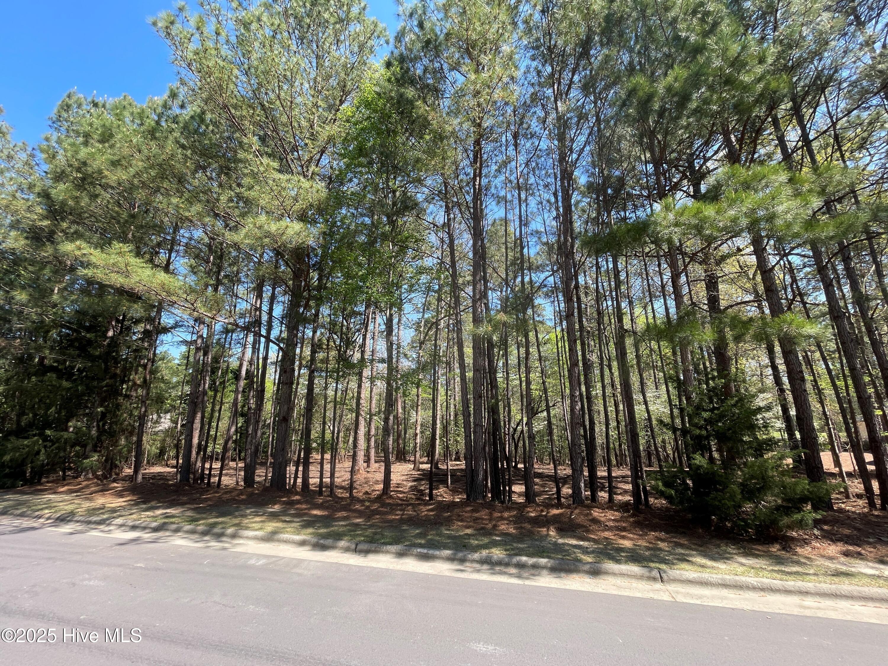 226 Meyer Farm Drive Property Photo 1