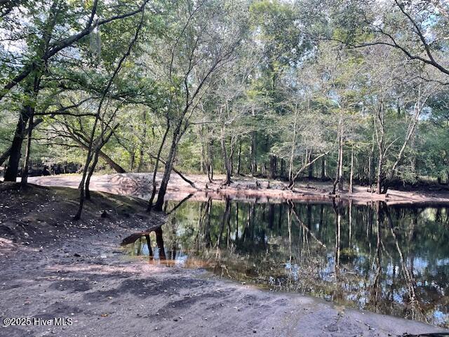 301 Natures Way Property Photo 30