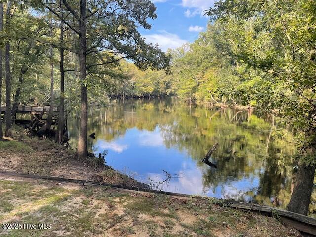 301 Natures Way Property Photo 31