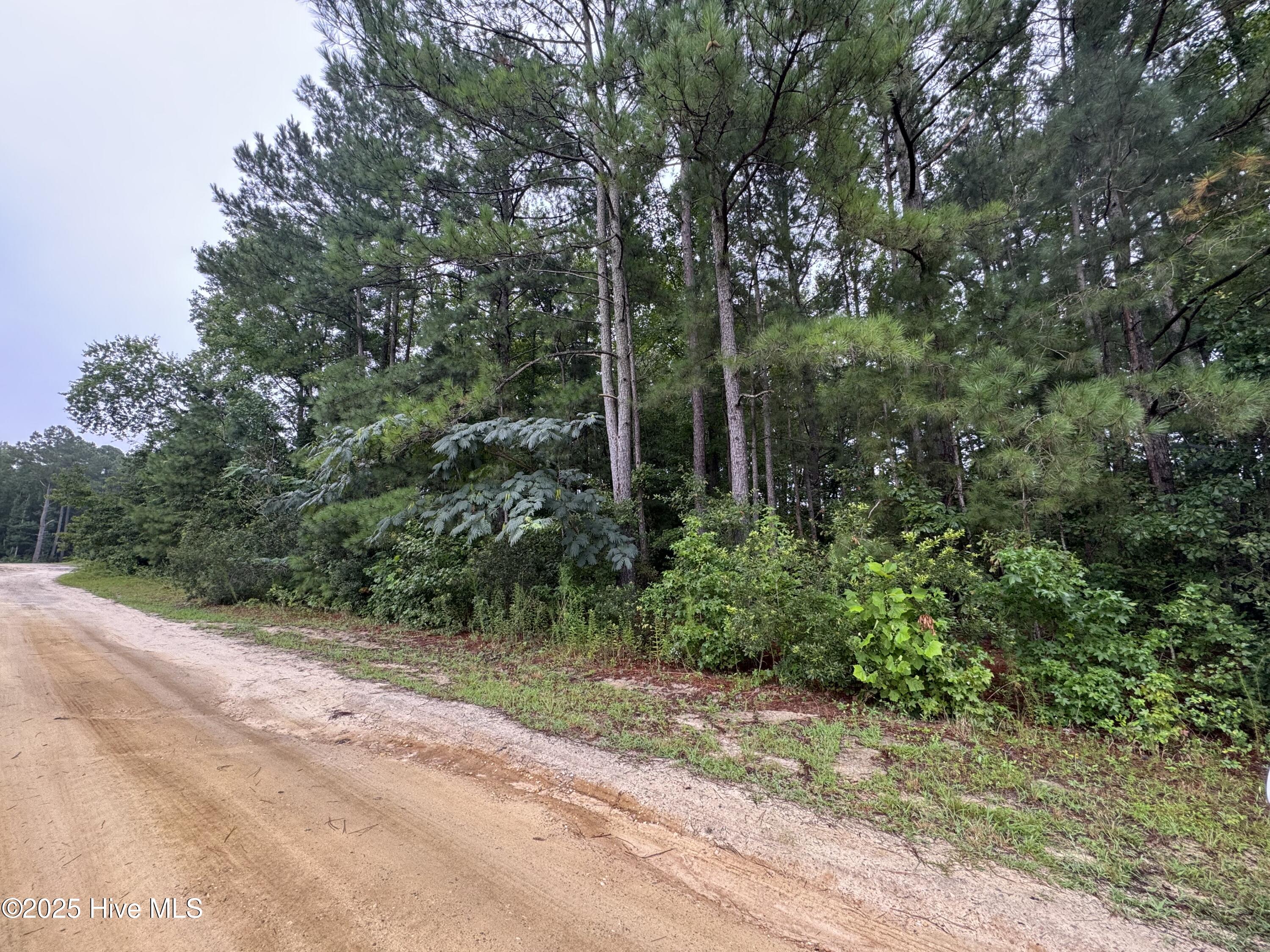 24 Sapling Lane Property Photo 1