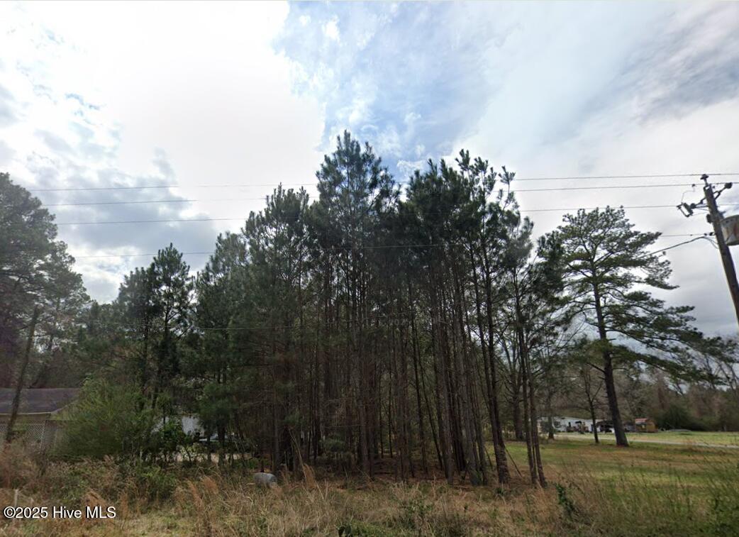 1184 Devils Racetrack Road Property Photo 1