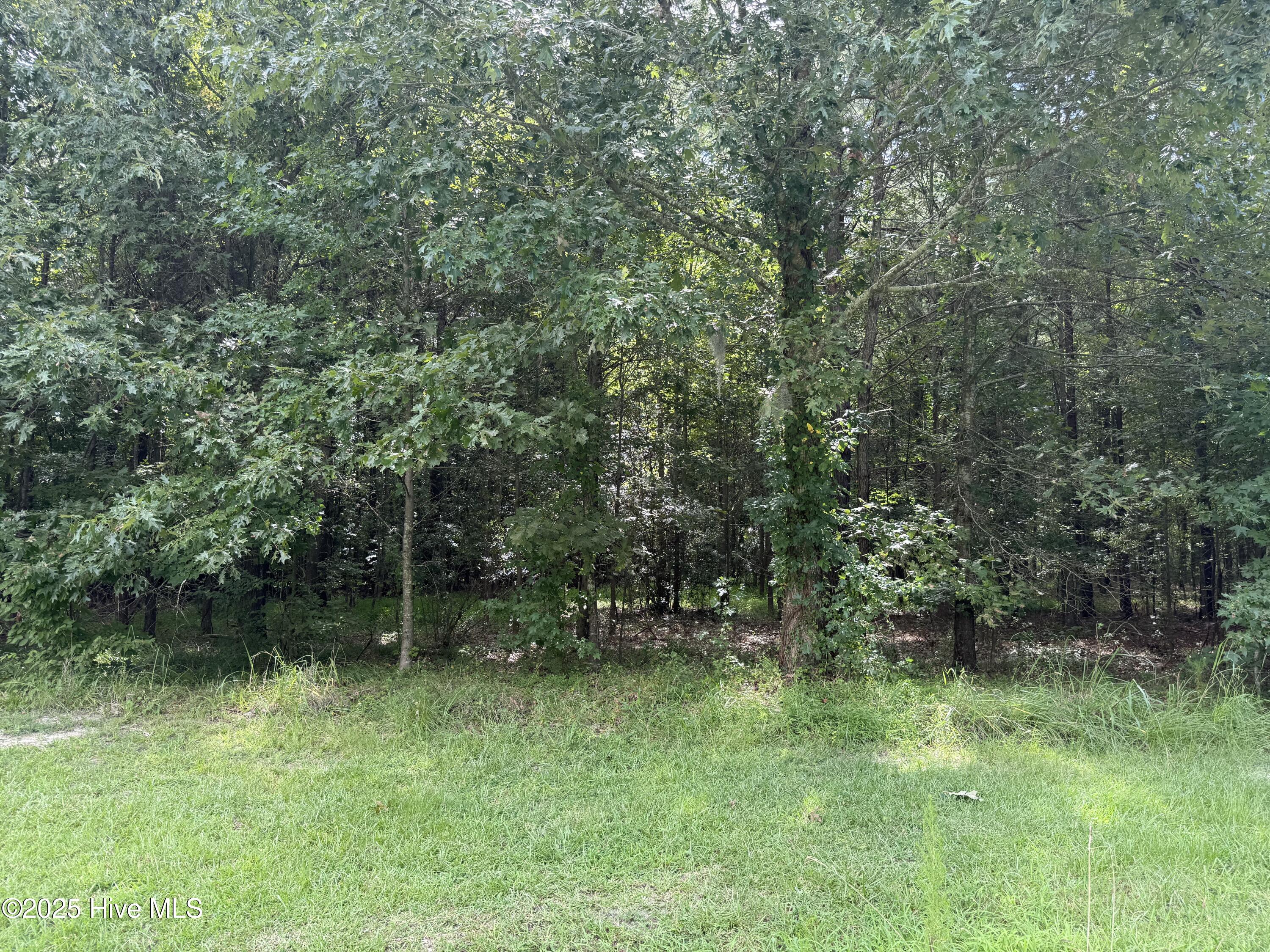 214 Osprey Drive Property Photo 10