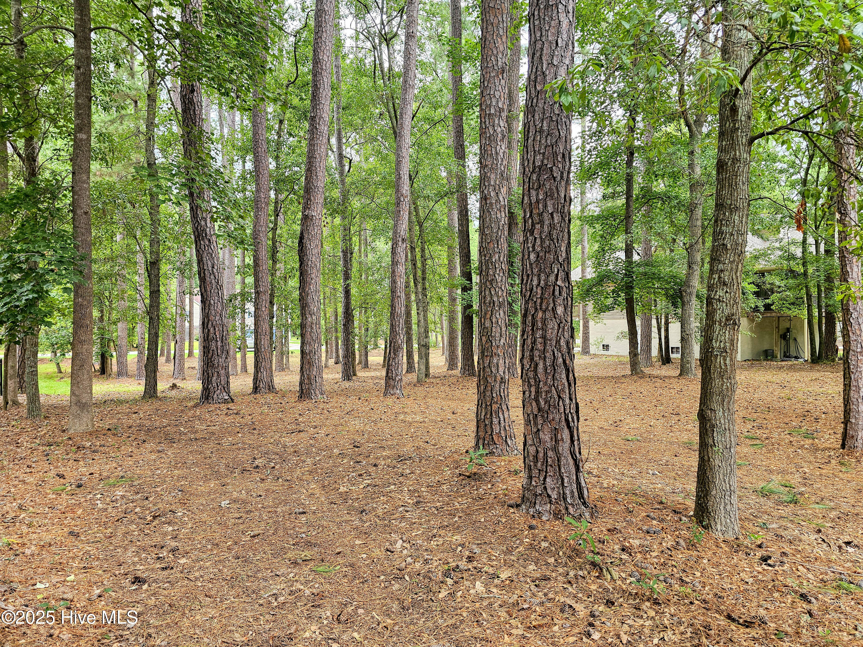 103 Greenbriar Lane Property Photo 4