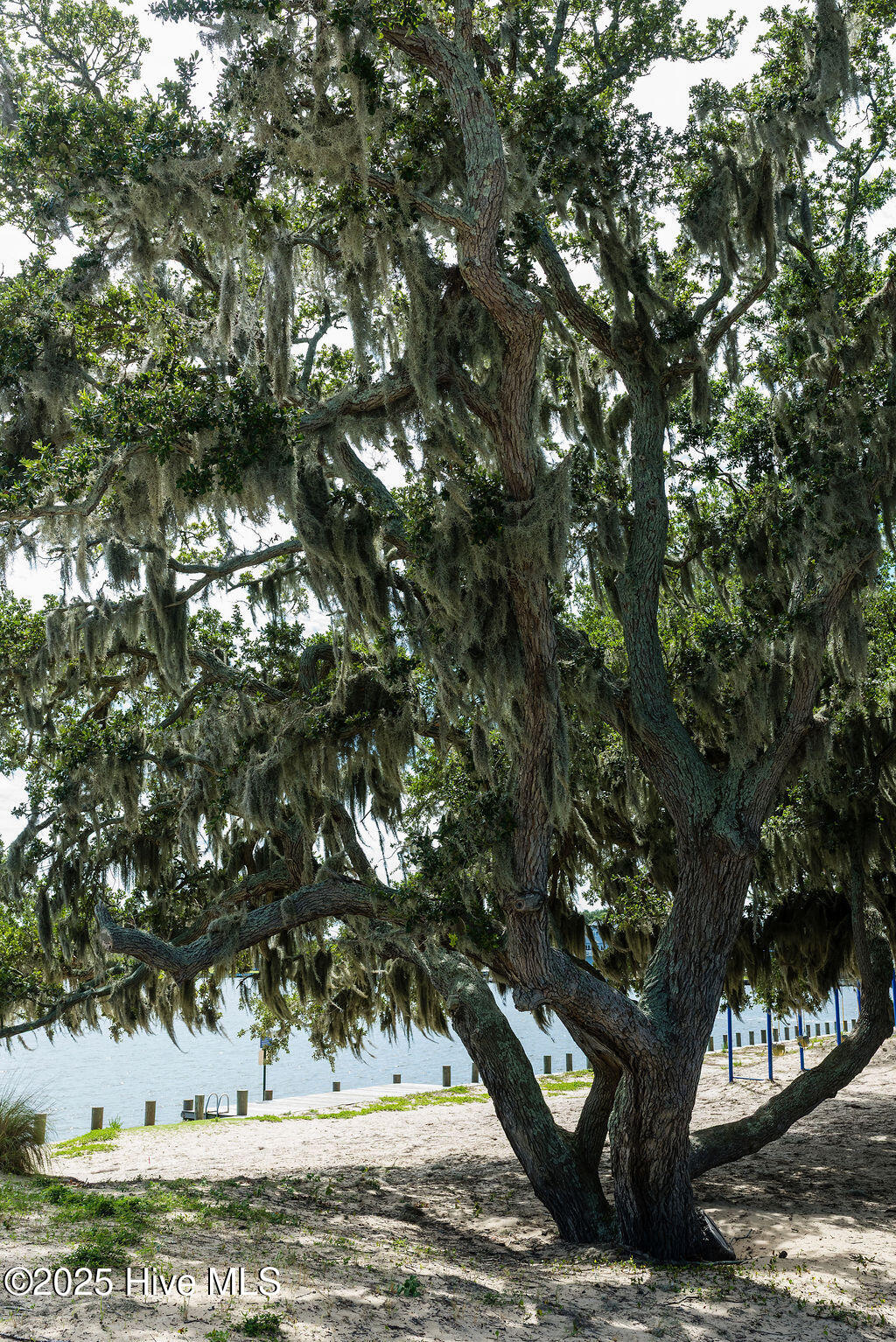 110 King Court Property Photo 36