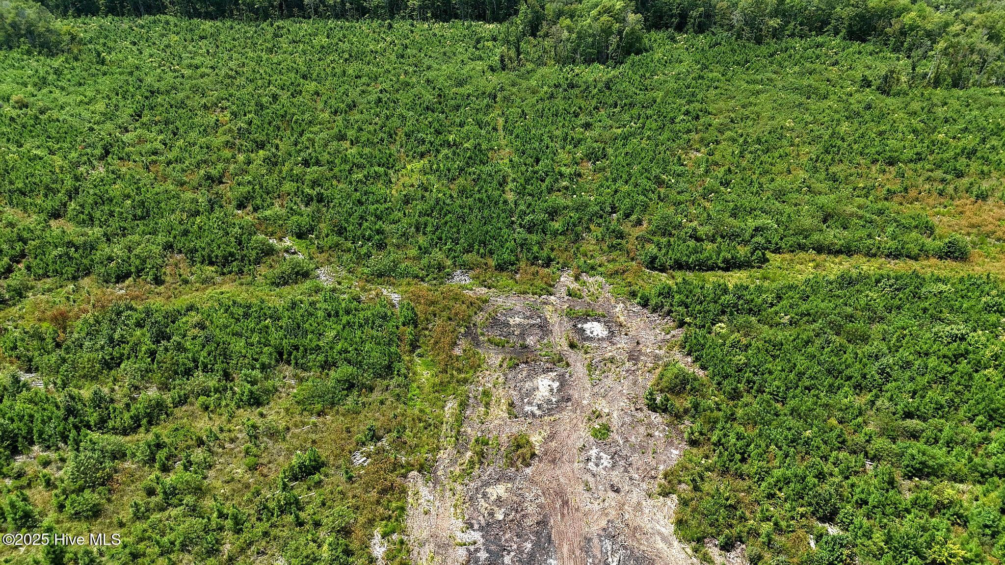 Tbd Boat Ramp Road Property Photo 1
