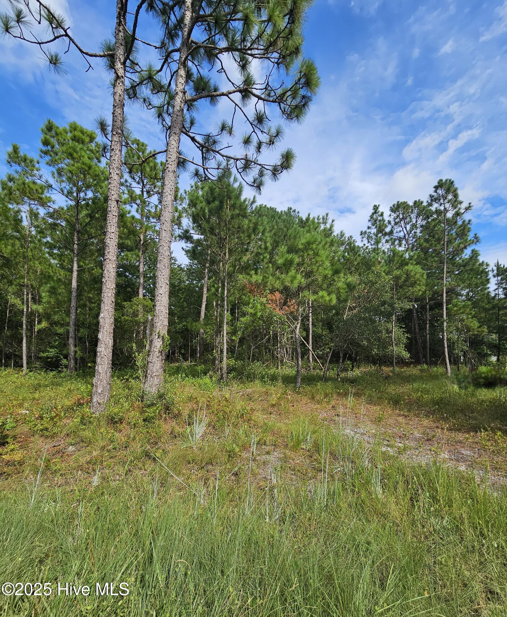 0000 Hines Stump Sound Church Road Property Photo 1