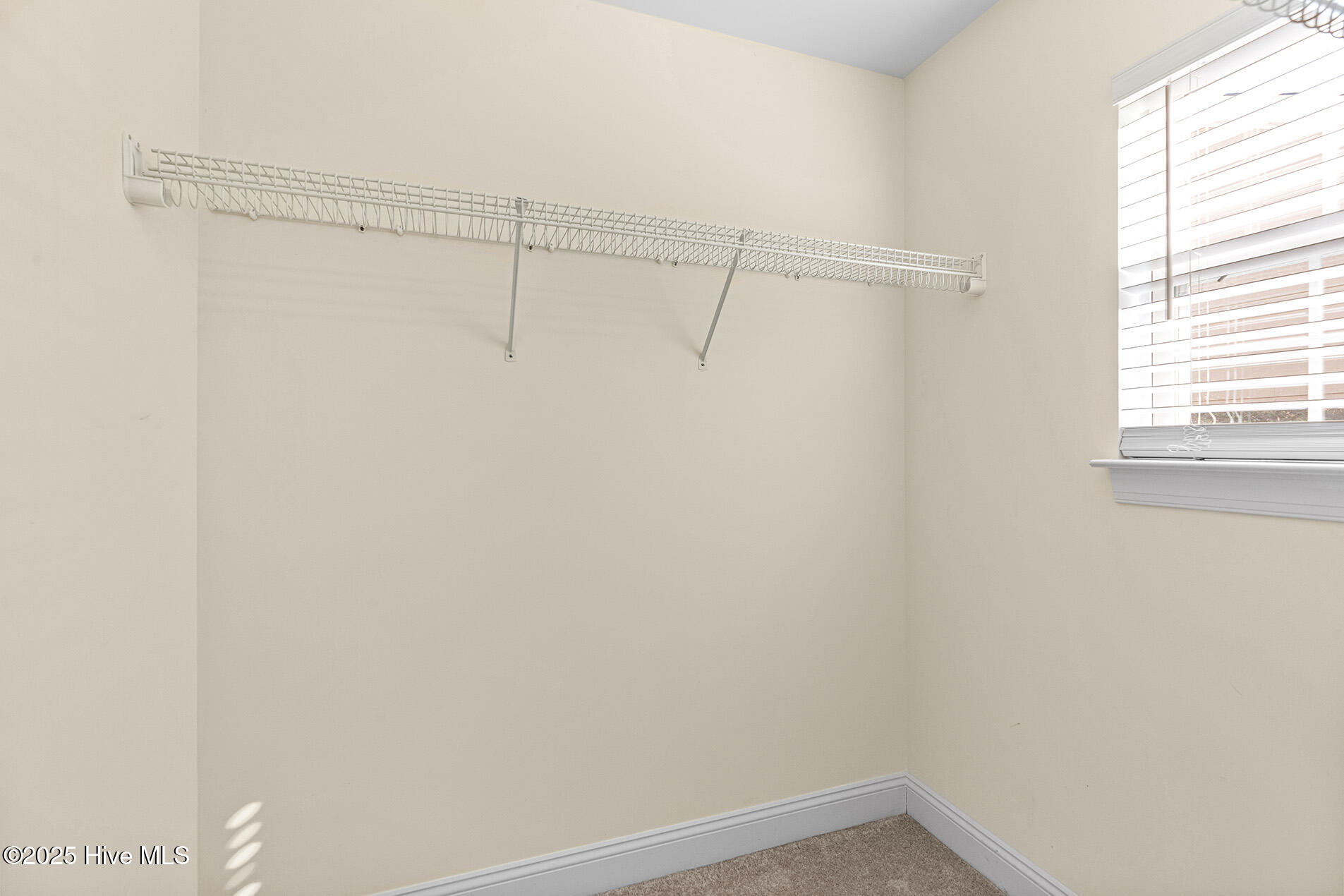 4024 Rounding Bend Lane Property Photo 35