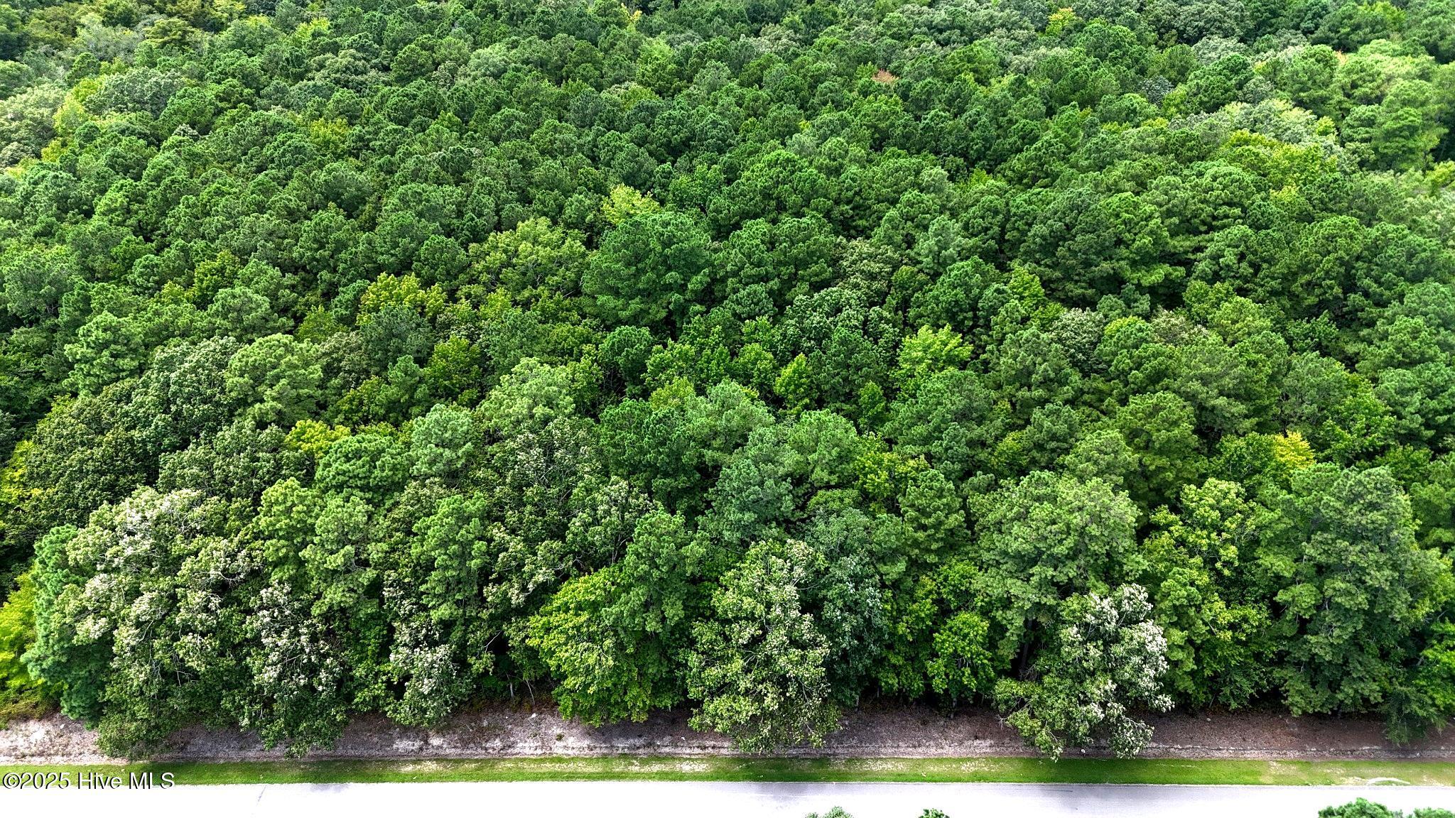 Tbd Boat Ramp Road Property Photo 1