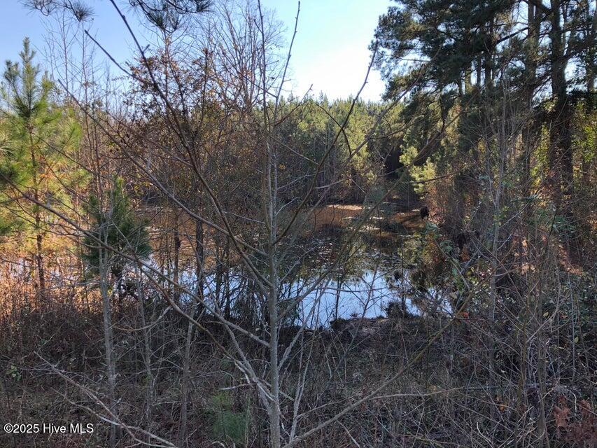 316 Old Cheraw Hwy Property Photo 1