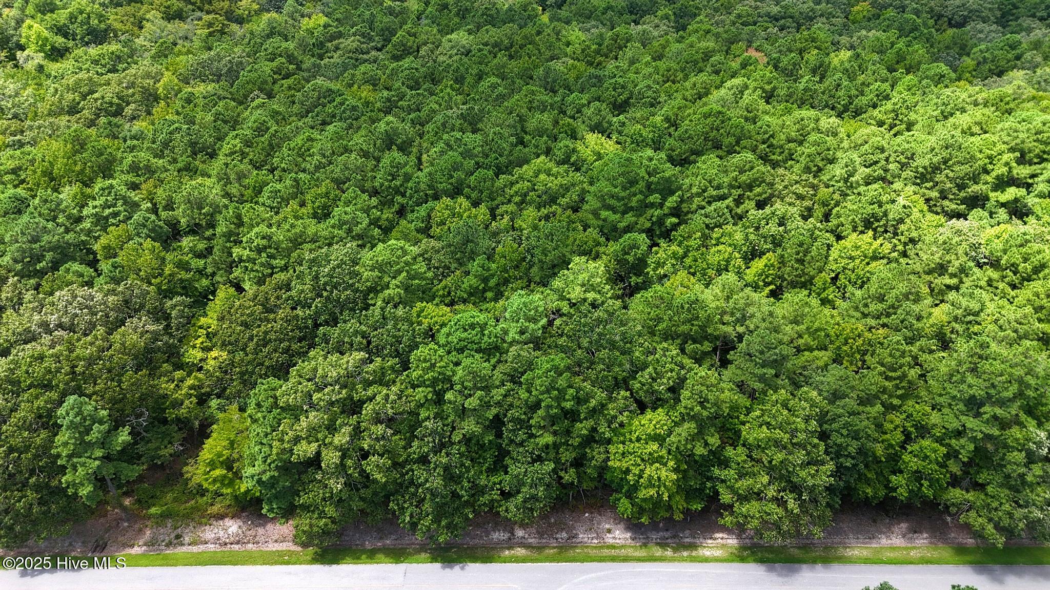 Tbd Boat Ramp Road Property Photo 1