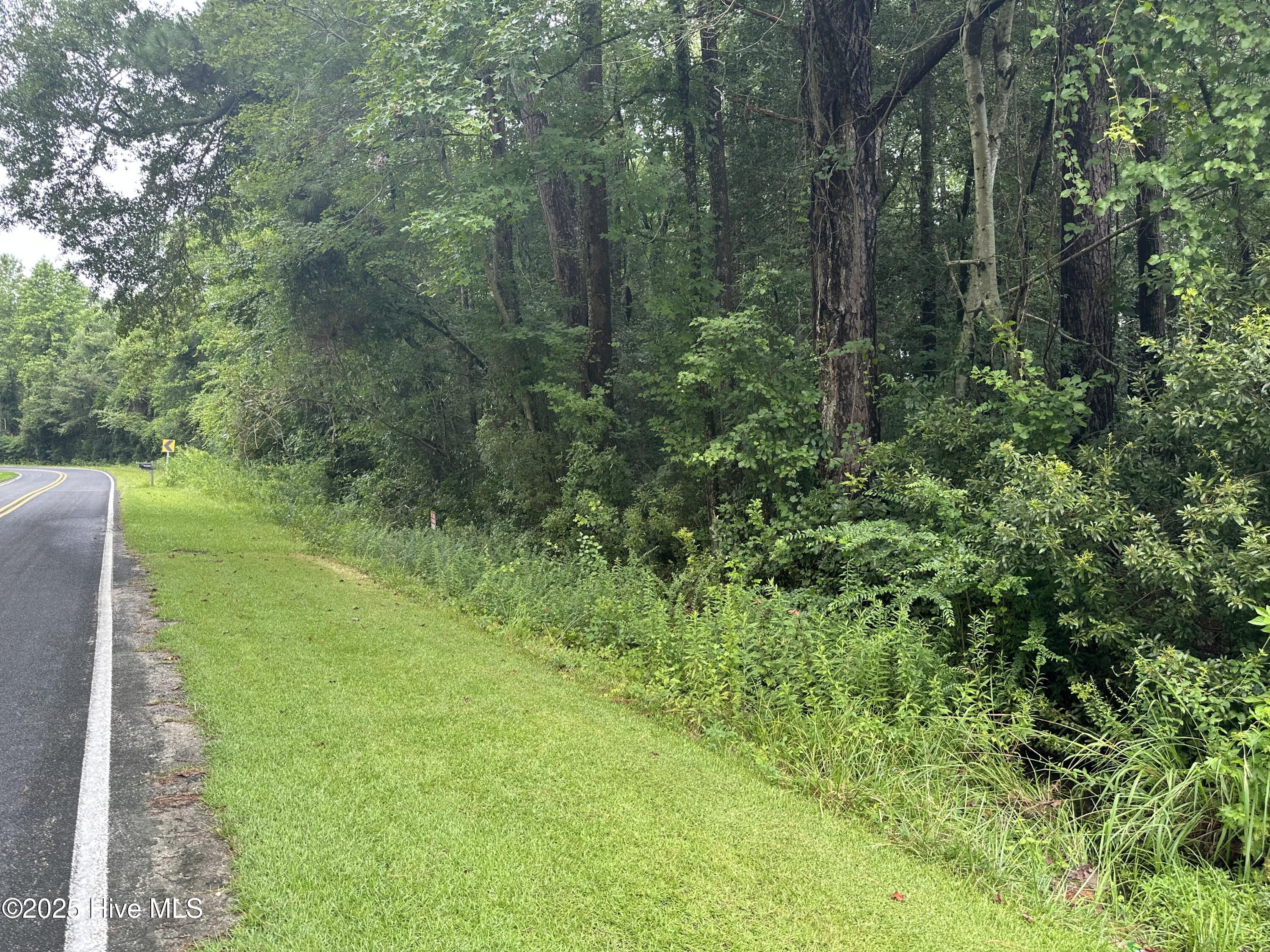 Lot# 44 Singletary Road Property Photo 1