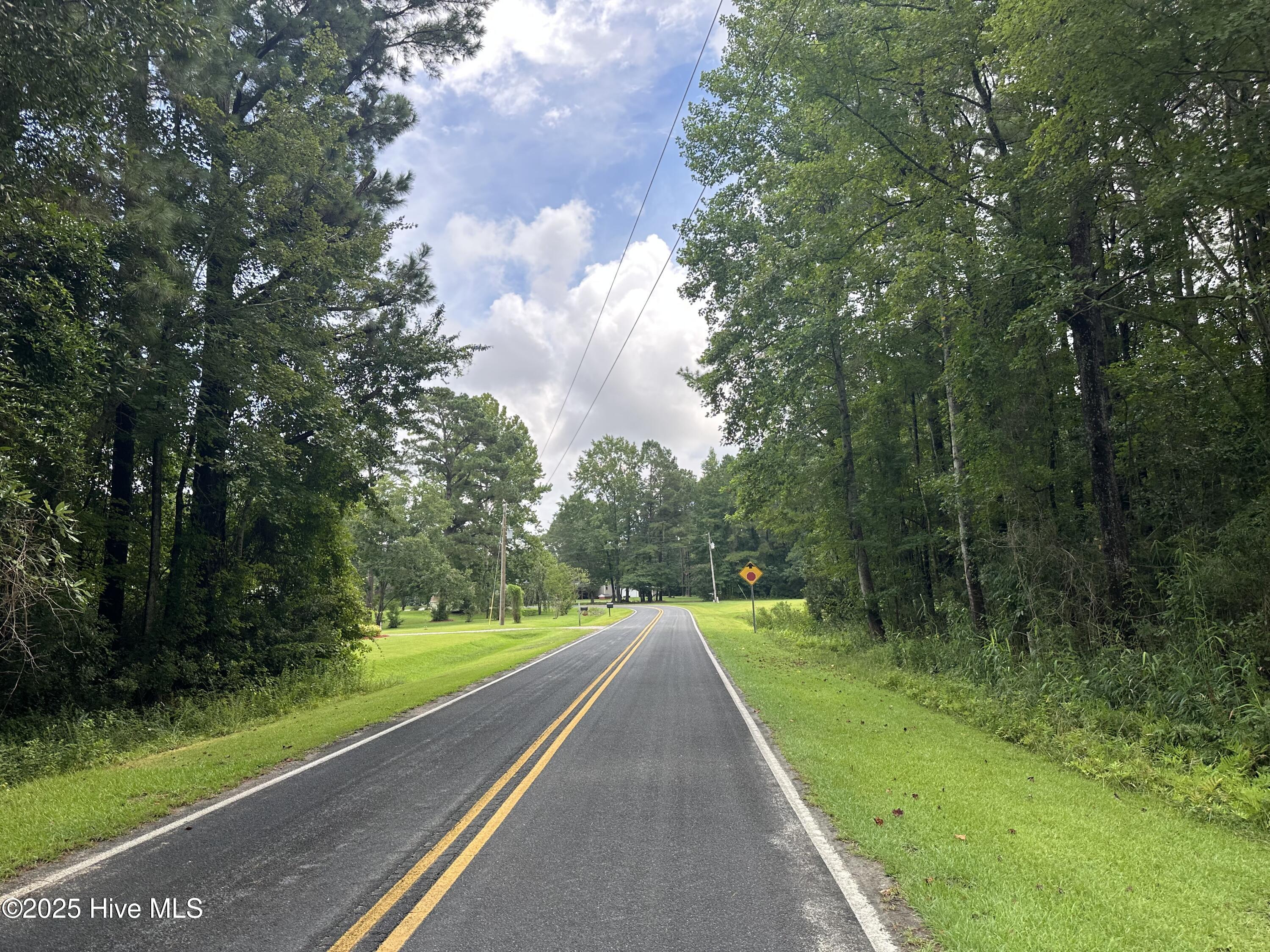 Lot# 44 Singletary Road Property Photo 3