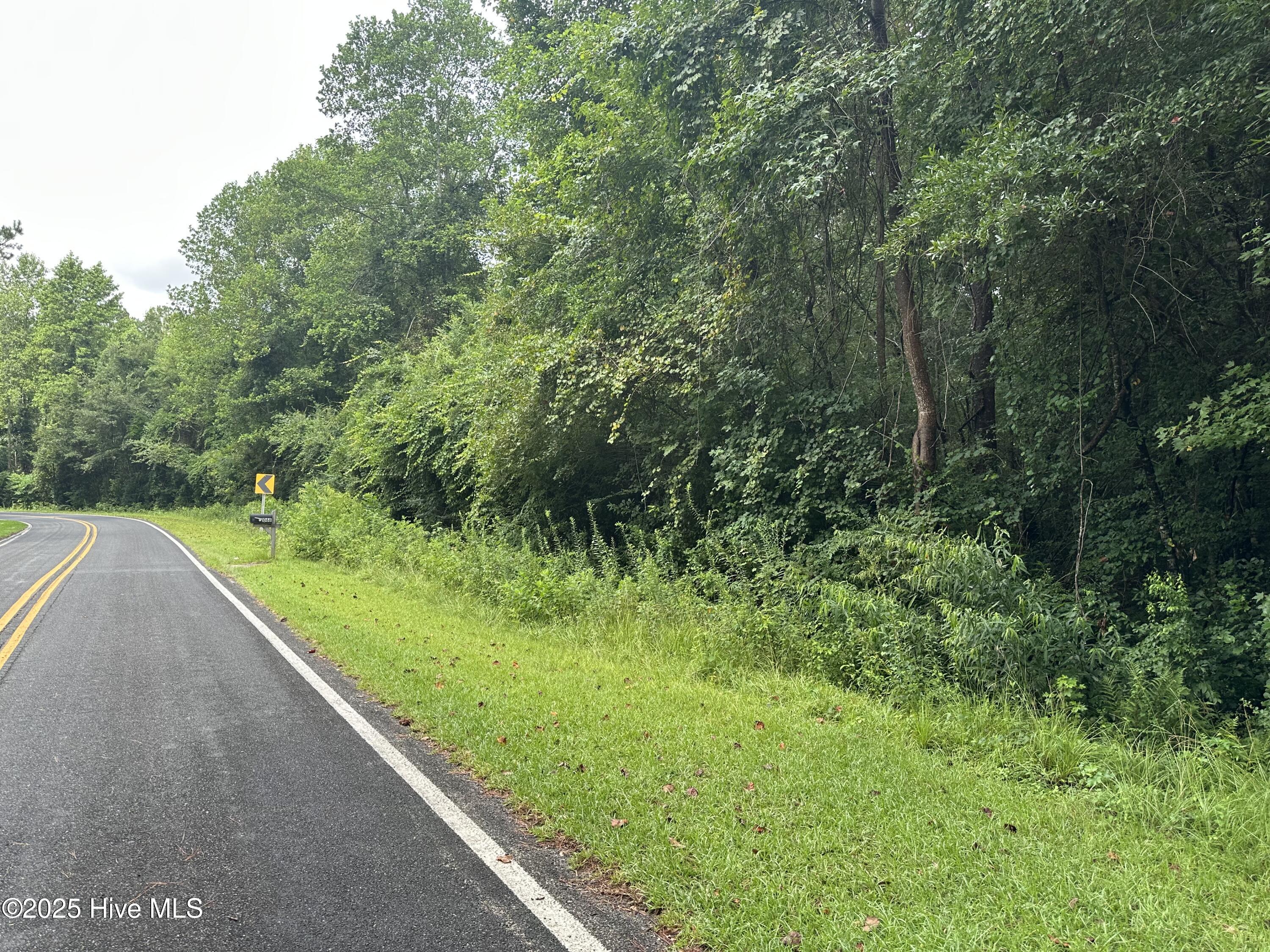 Lot# 44 Singletary Road Property Photo 4