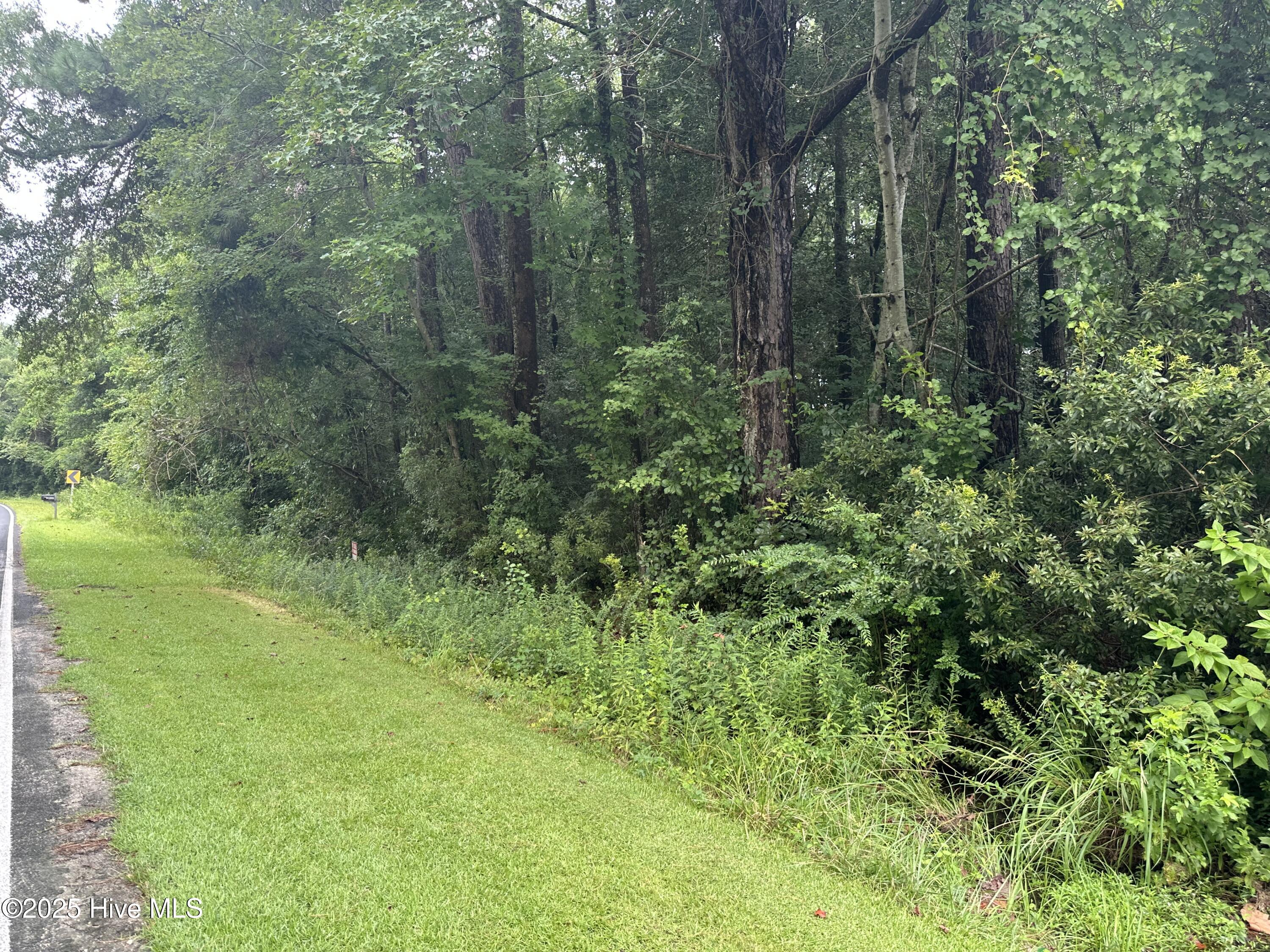 Lot# 44 Singletary Road Property Photo 5