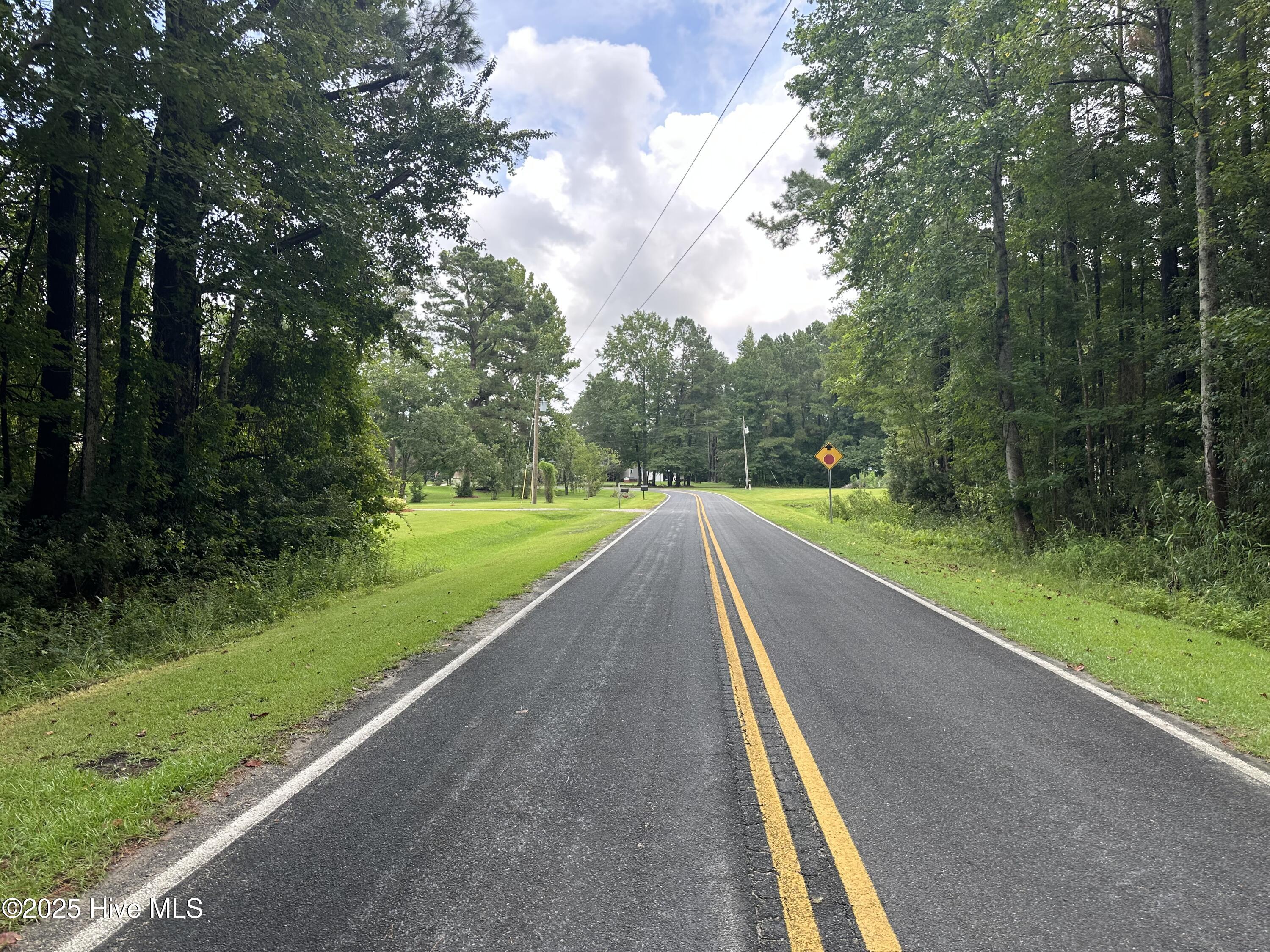 Lot# 44 Singletary Road Property Photo 6