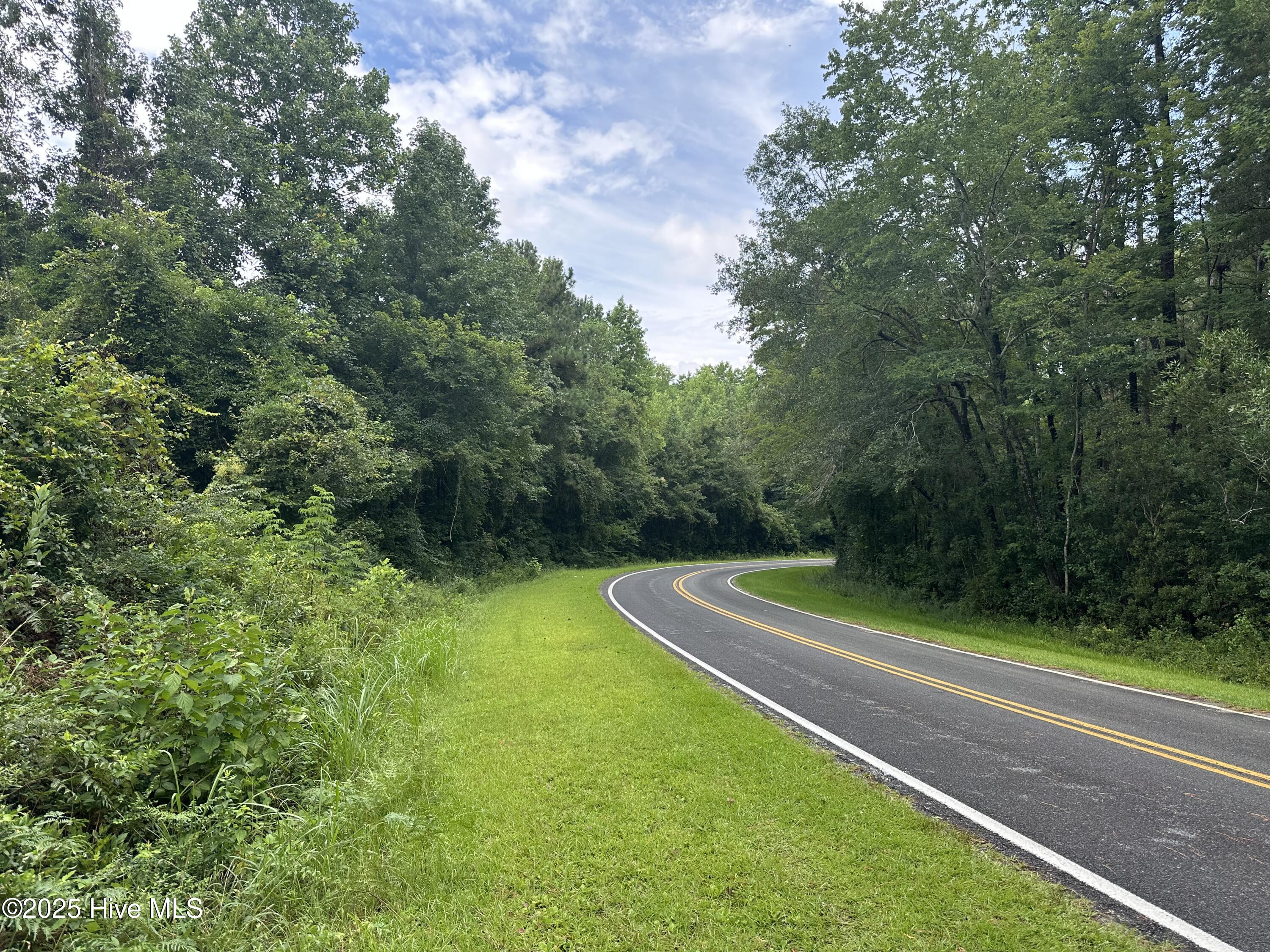 Lot# 44 Singletary Road Property Photo 7