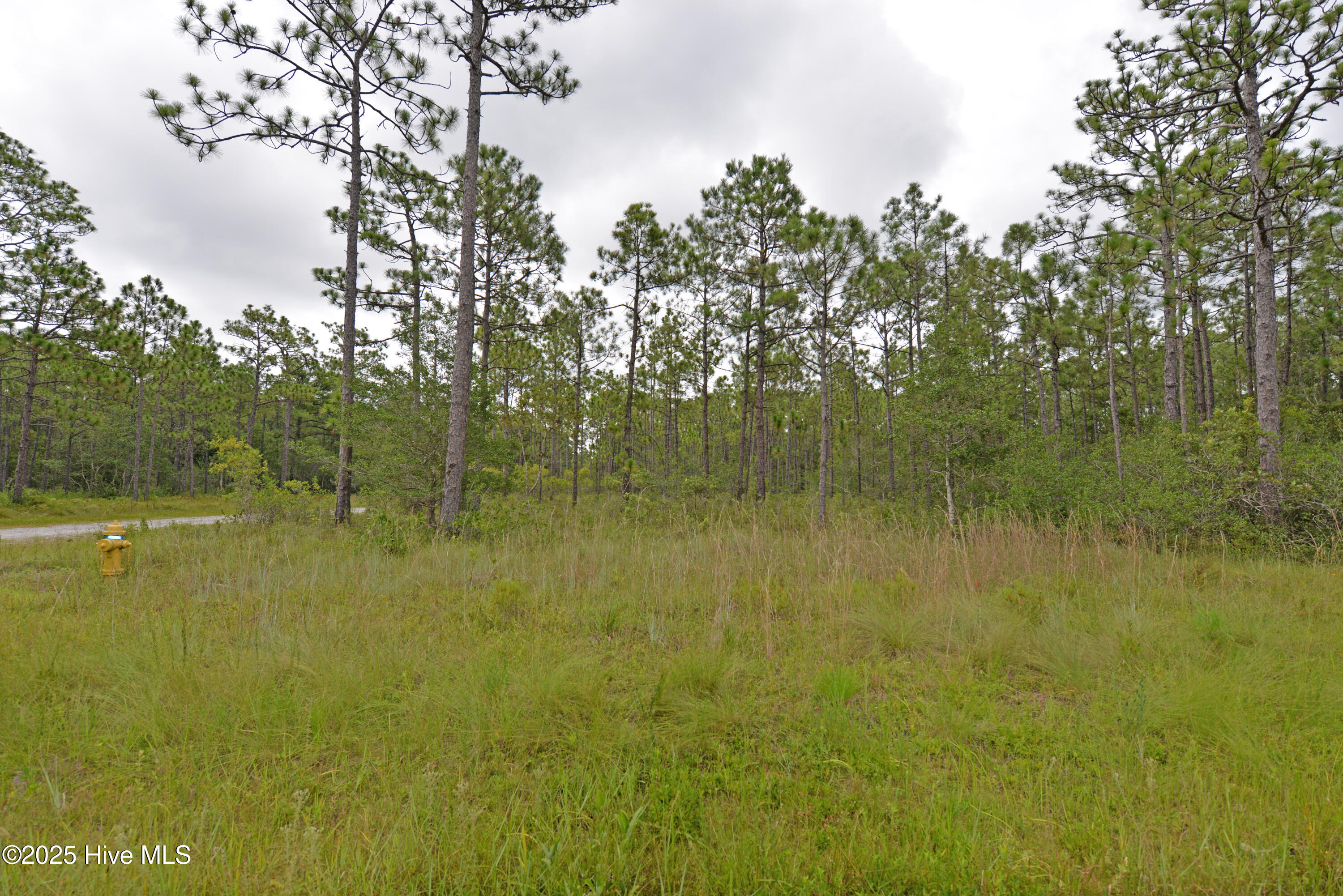 L-272 E Boiling Spring Road Property Photo 1