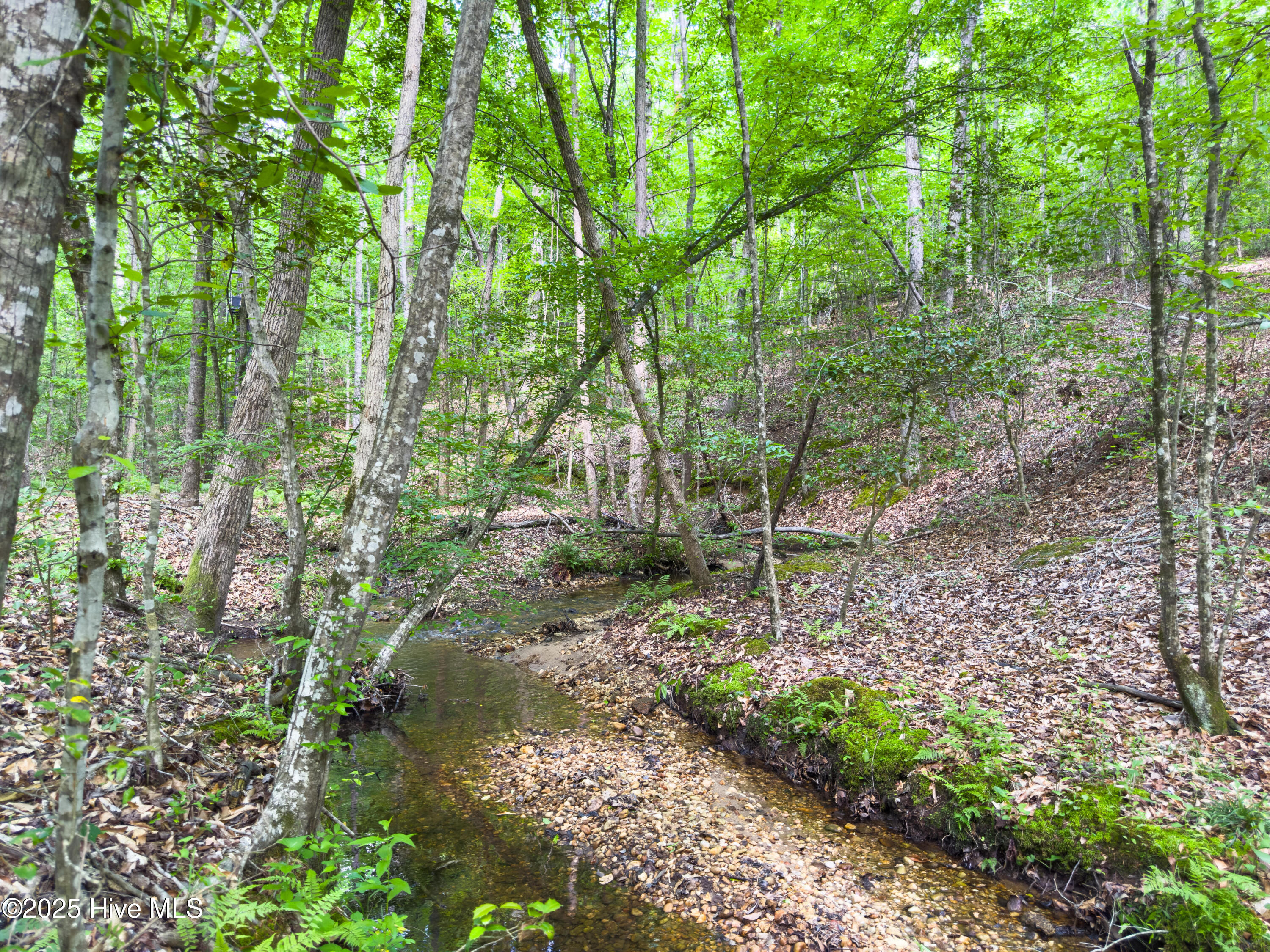 0 Old Charlotte Highway Property Photo 1