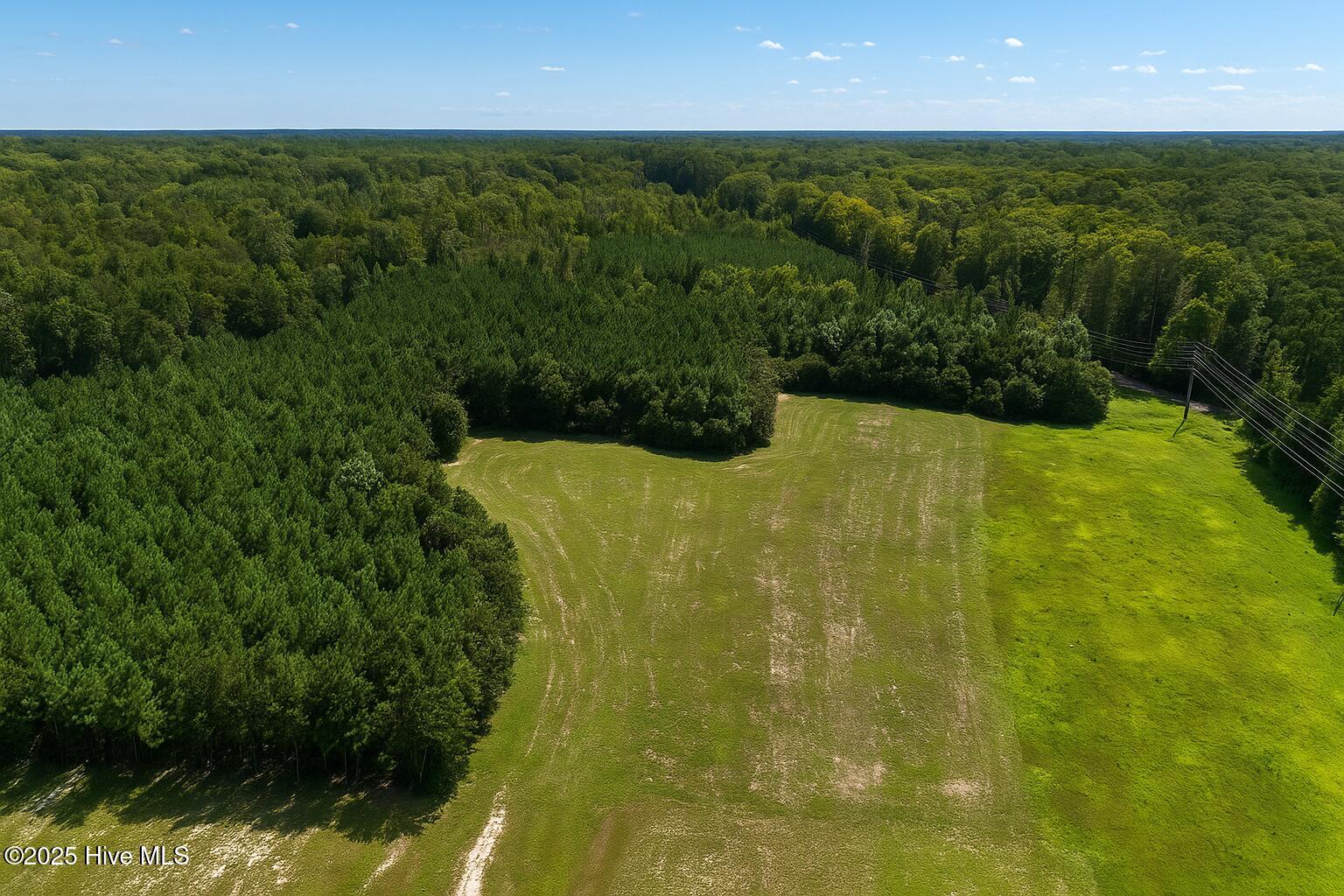 843 Halls Creek Road Property Photo 1