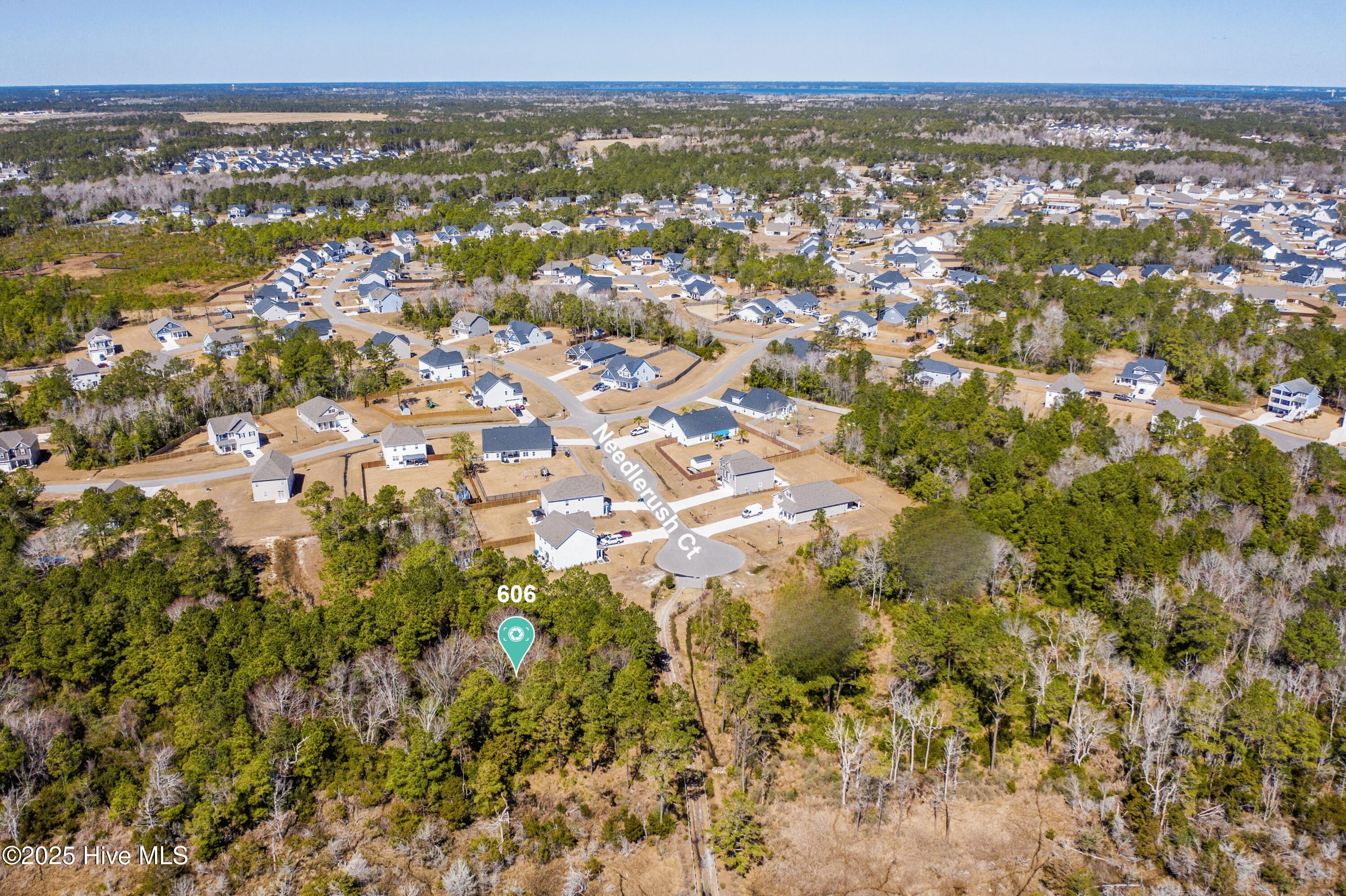 606 Needlerush Court Property Photo 2