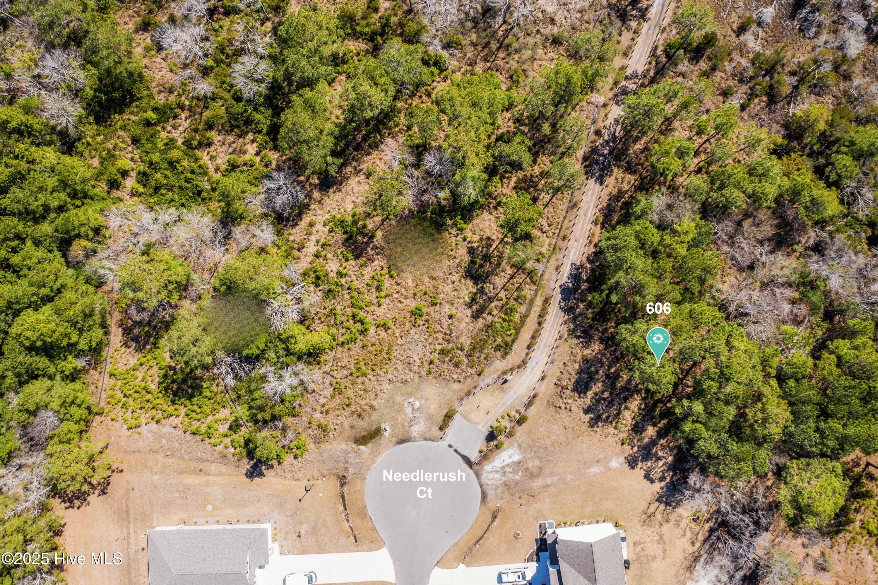 606 Needlerush Court Property Photo 3