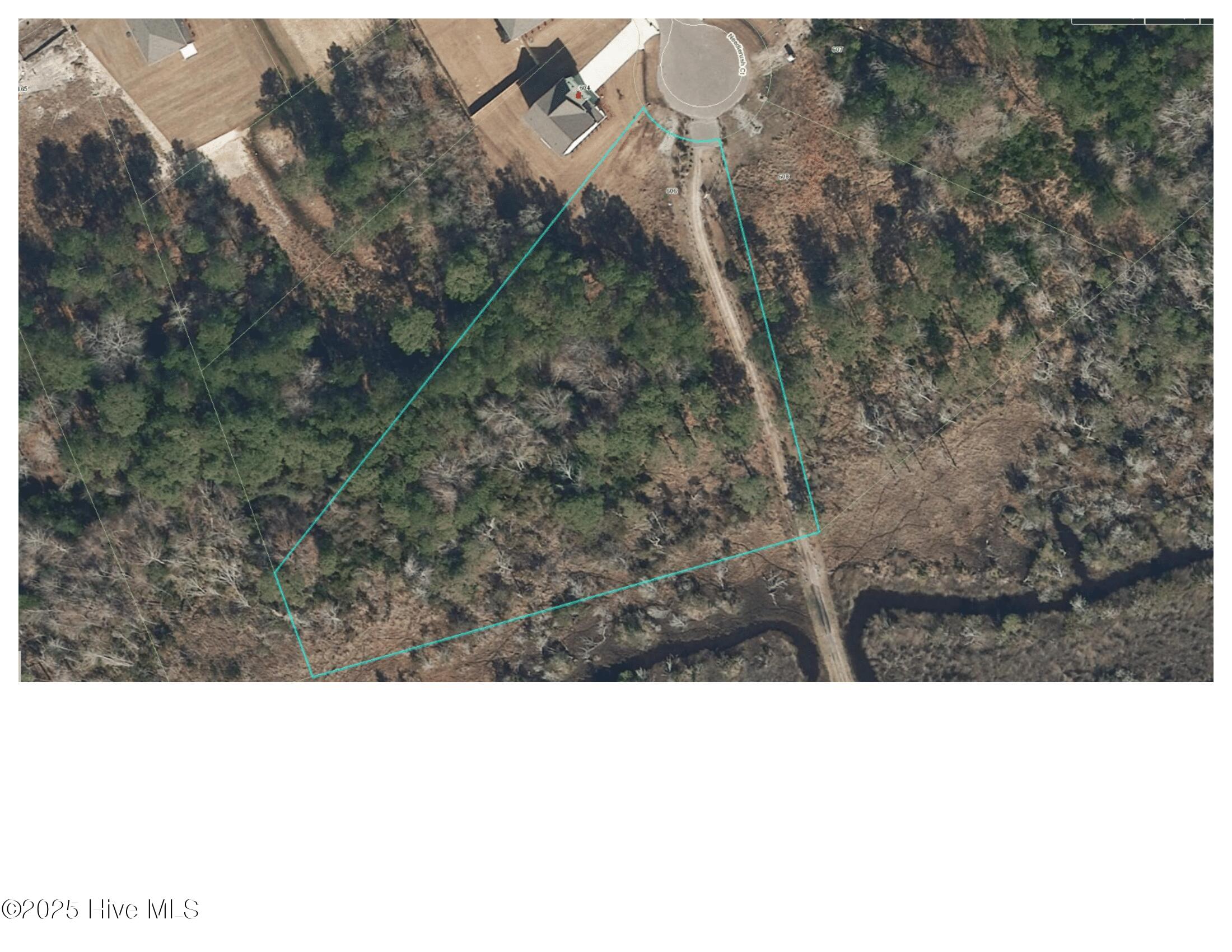 606 Needlerush Court Property Photo 4