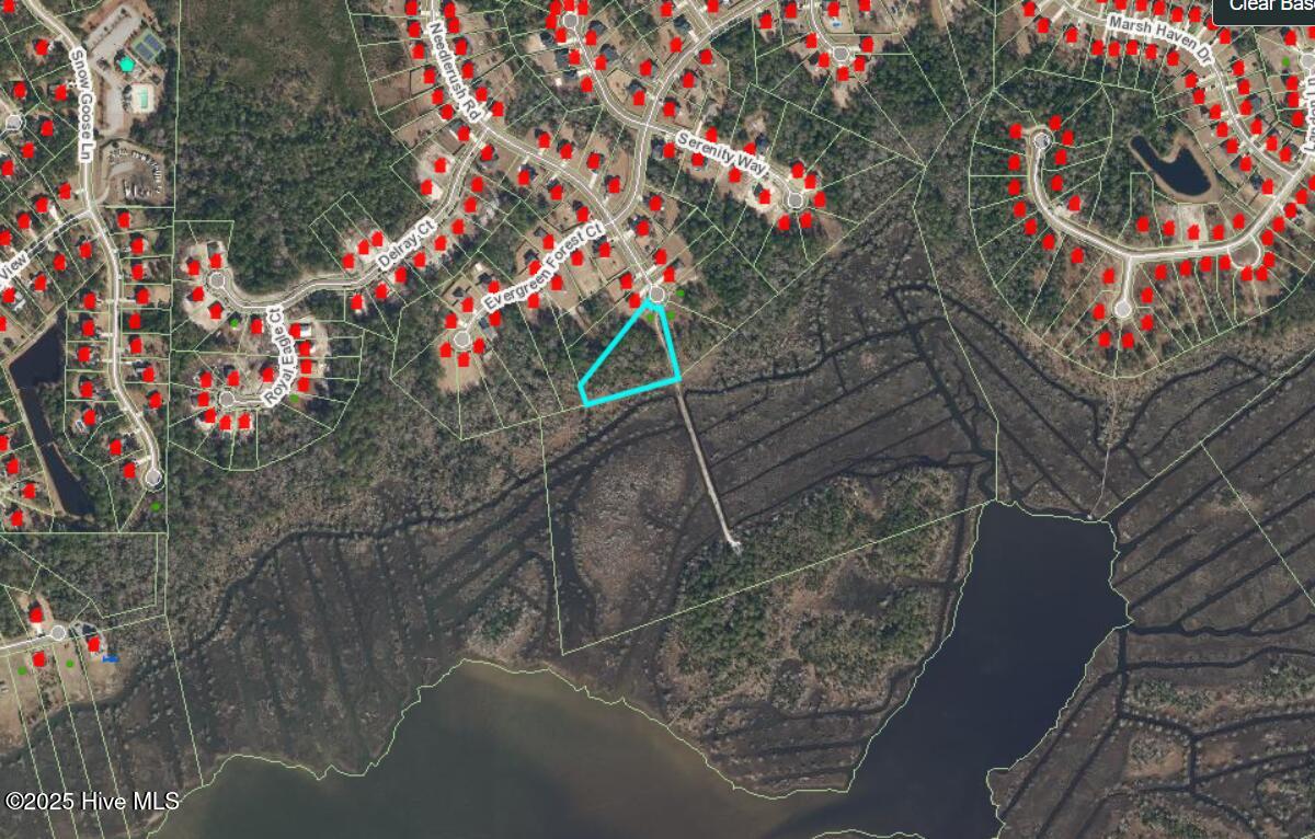 606 Needlerush Court Property Photo 5