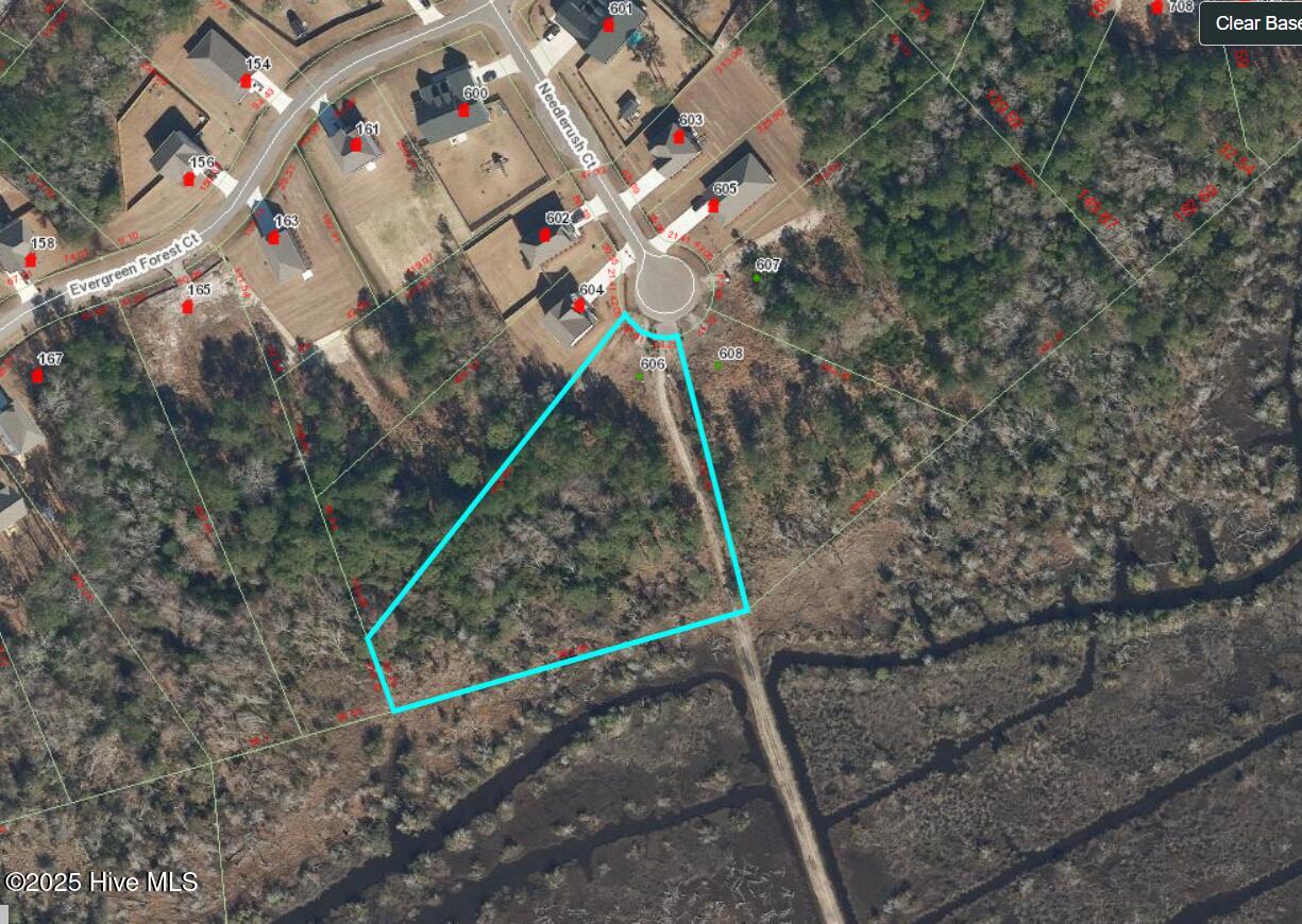 606 Needlerush Court Property Photo 6