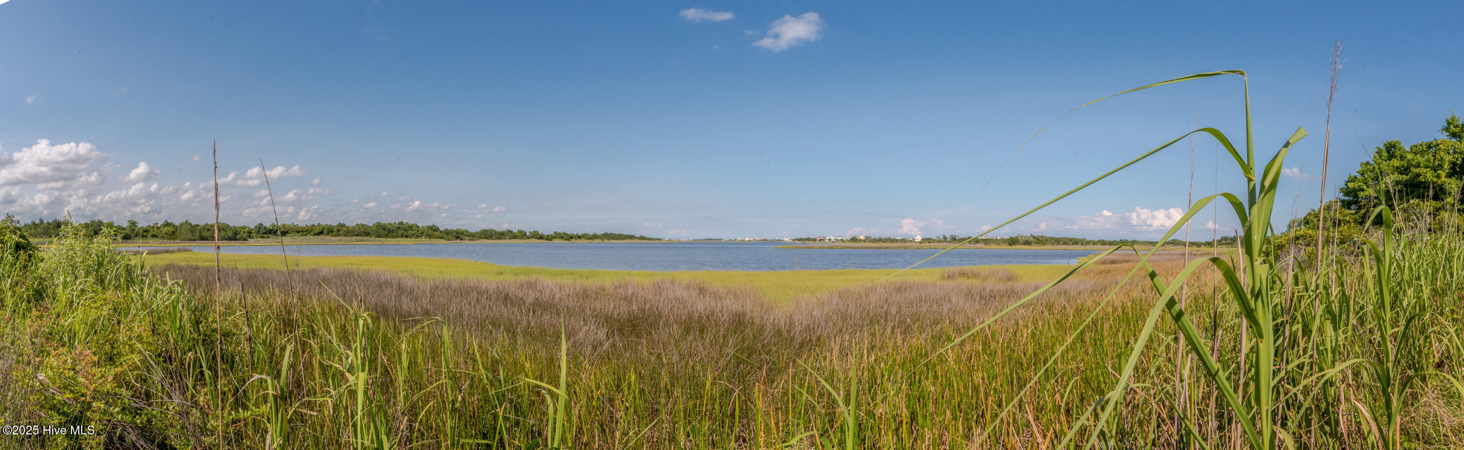 606 Needlerush Court Property Photo 12